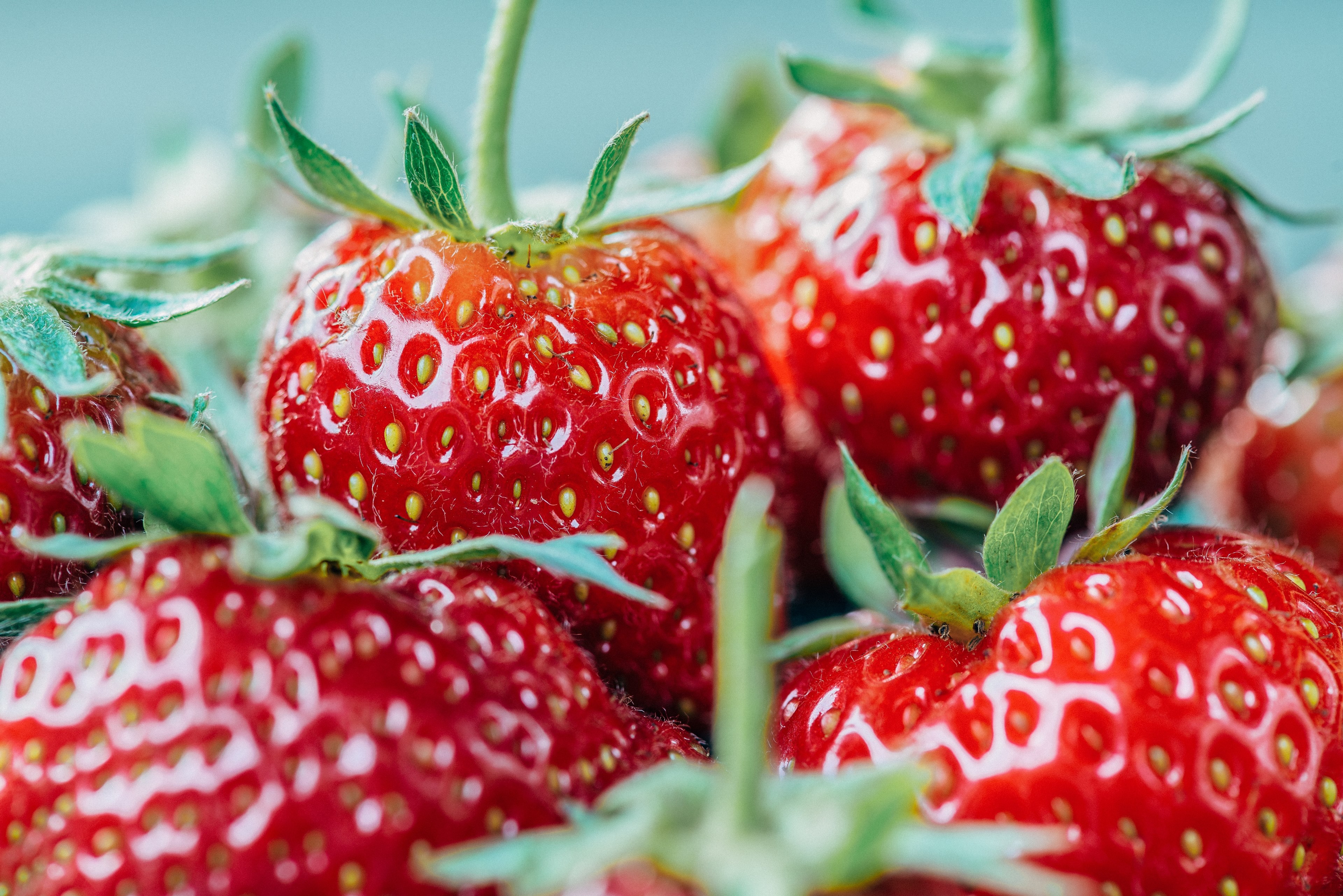 details of seeds and green tops on fresh juicy strawberries, a fresh healthy snack 4k, HD Wallpaper