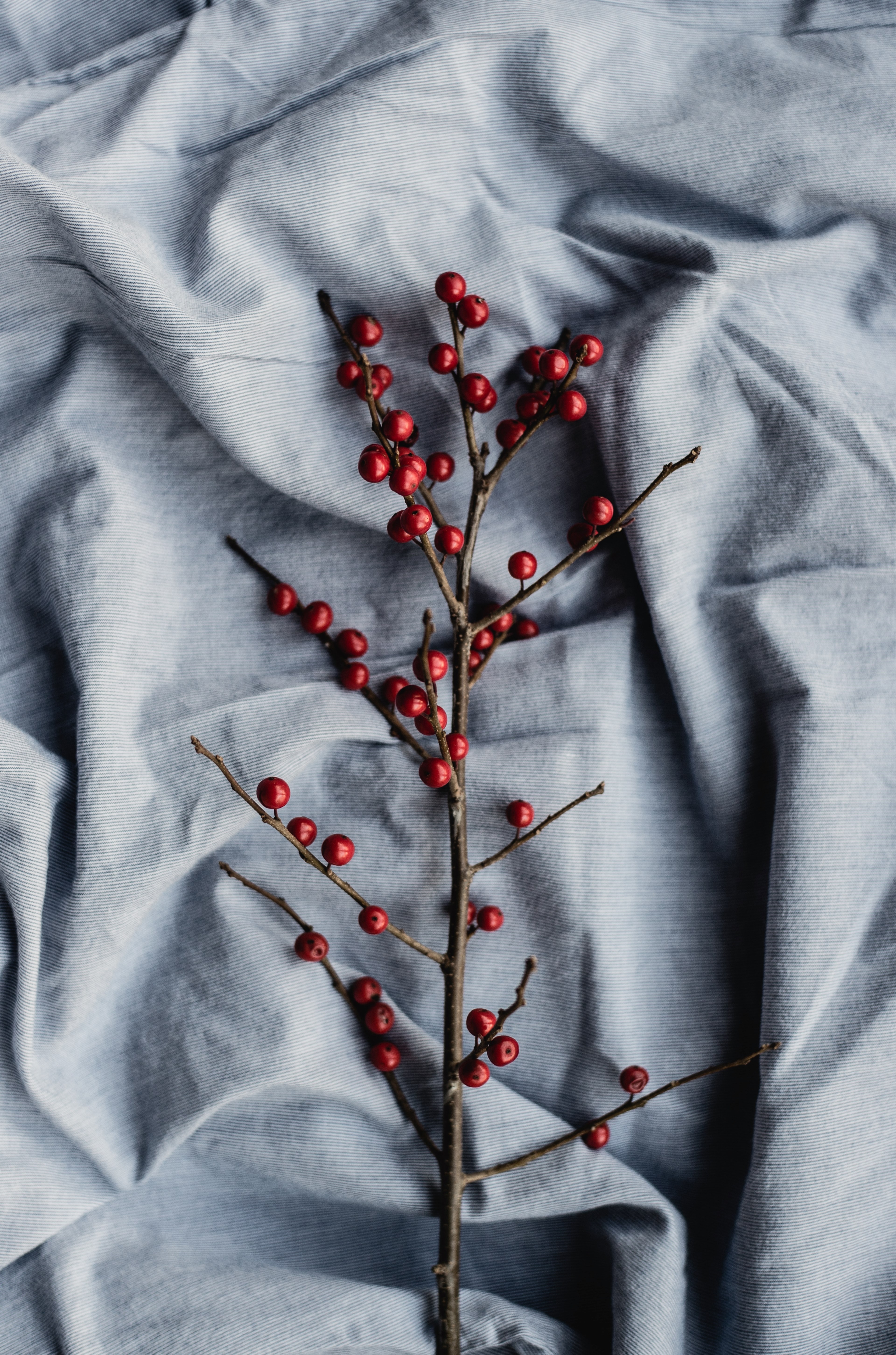 an overhead shot of a branch with red berries on a linen fabric, berry christmas 4k, Phone HD Wallpaper