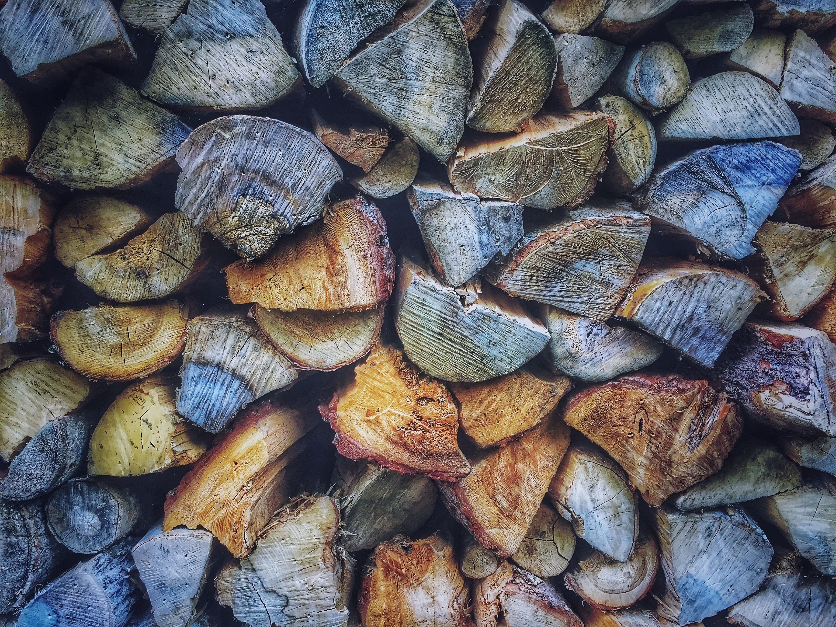 a pile of firewood, firewood texture 4k, HD Wallpaper