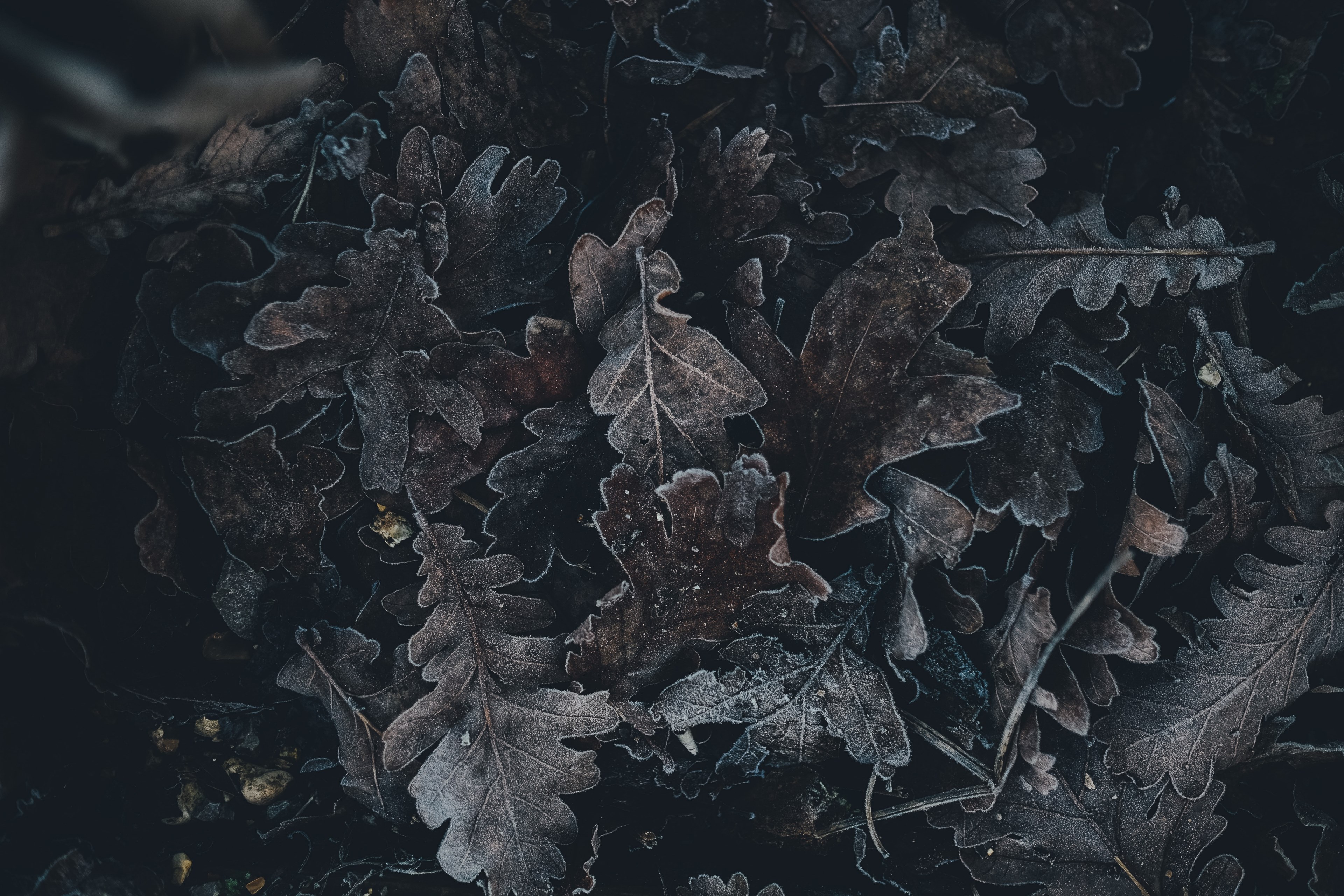 crunchy underfoot 4k, HD Wallpaper