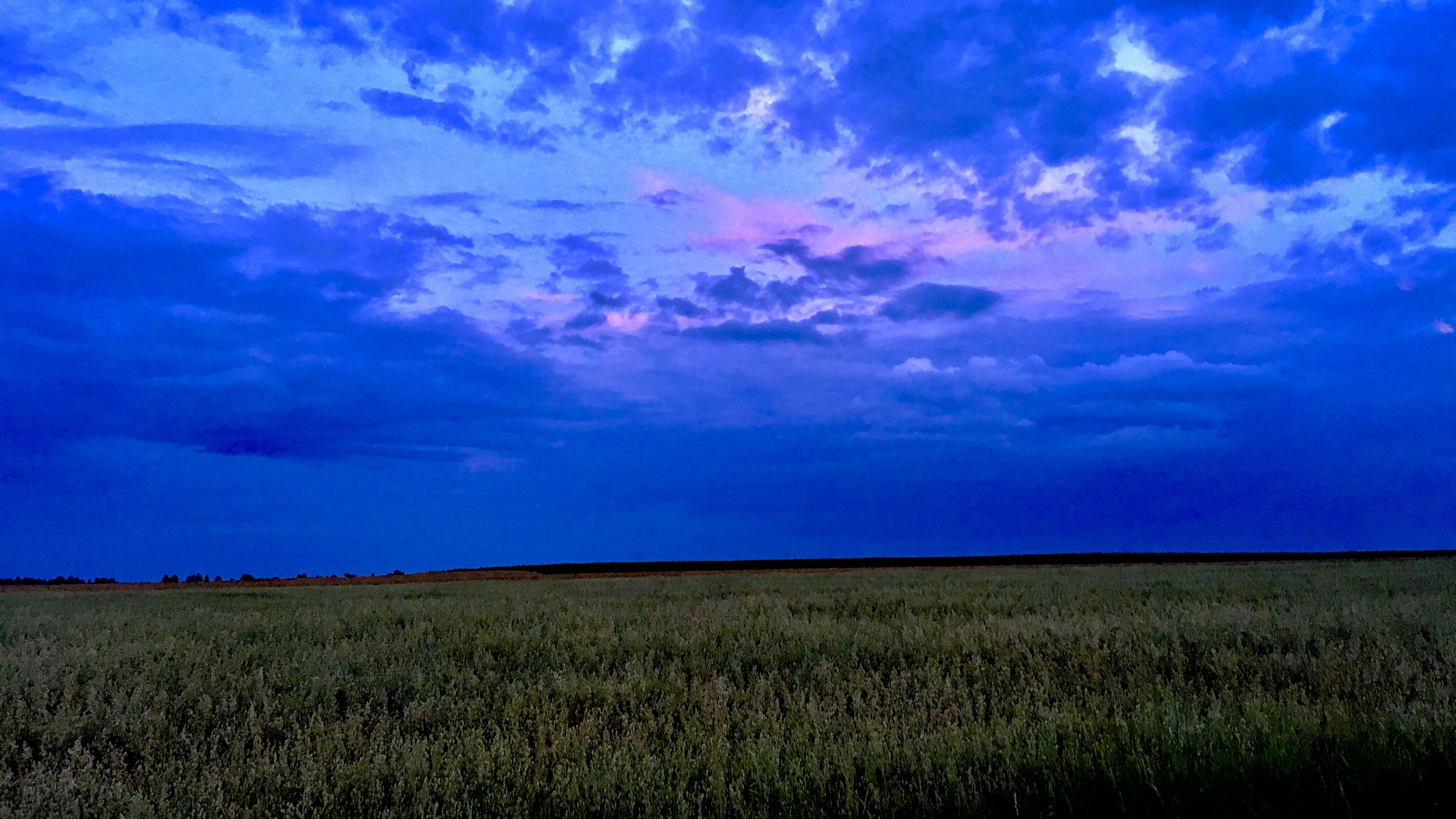 field, sky, clouds, evening, 4k, HD Wallpaper