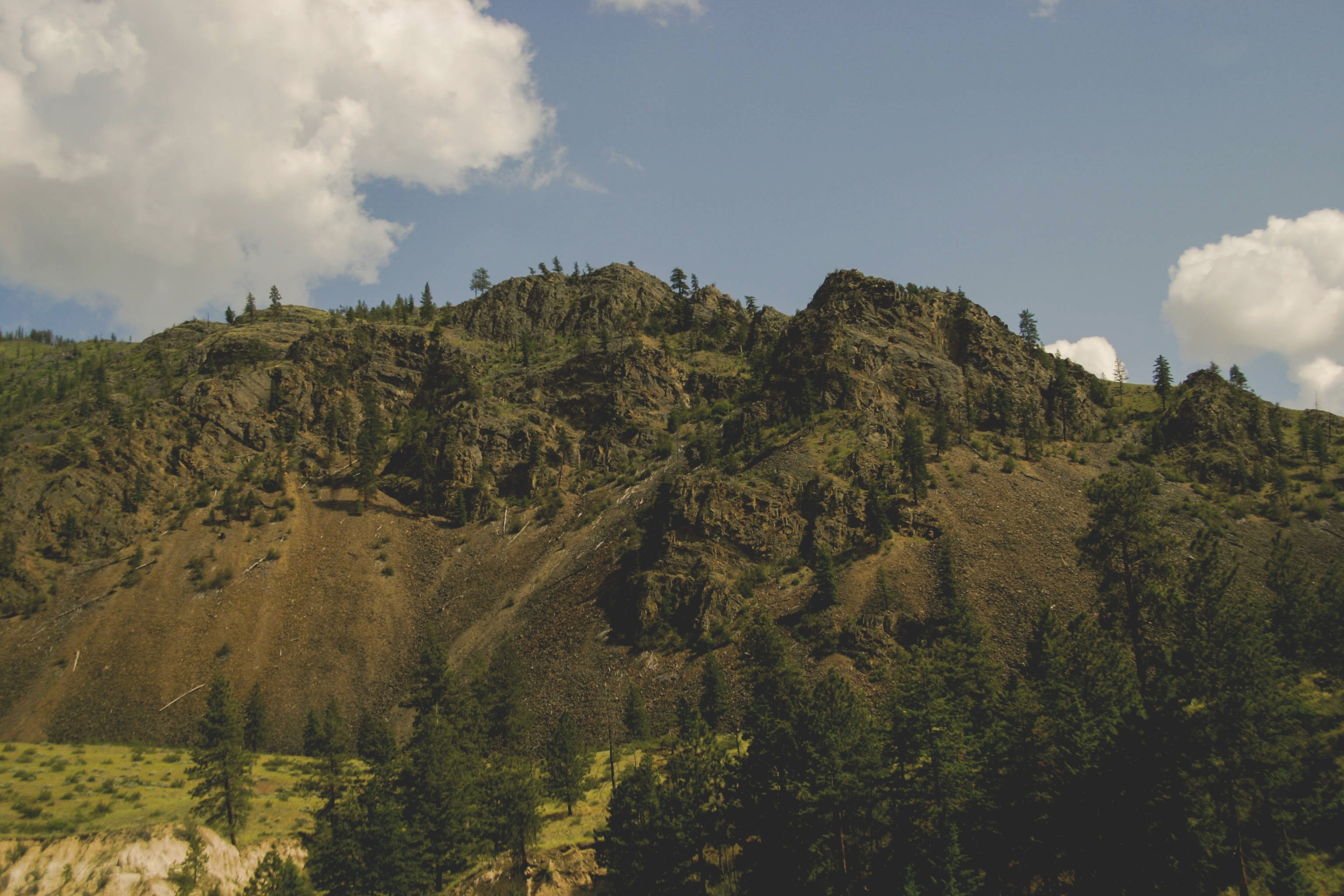 woods on the slopes of a mountain range under fluffy clouds, wooded mountain ridge 4k, HD Wallpaper