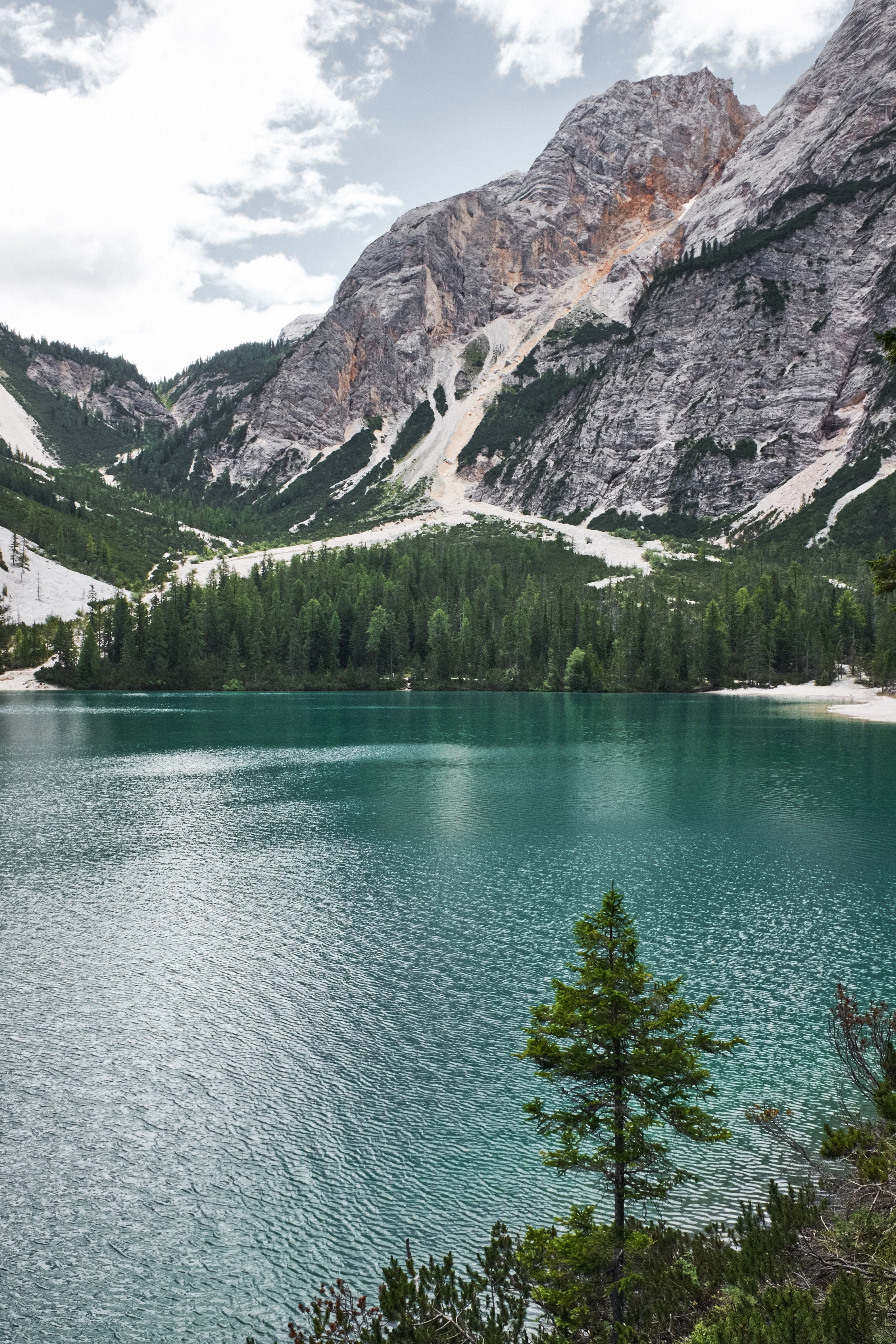 view from a shore of an azure lake on woods and a craggy mountain on the opposite shore, evergreen woods by lago di braies 4k, Phone HD Wallpaper