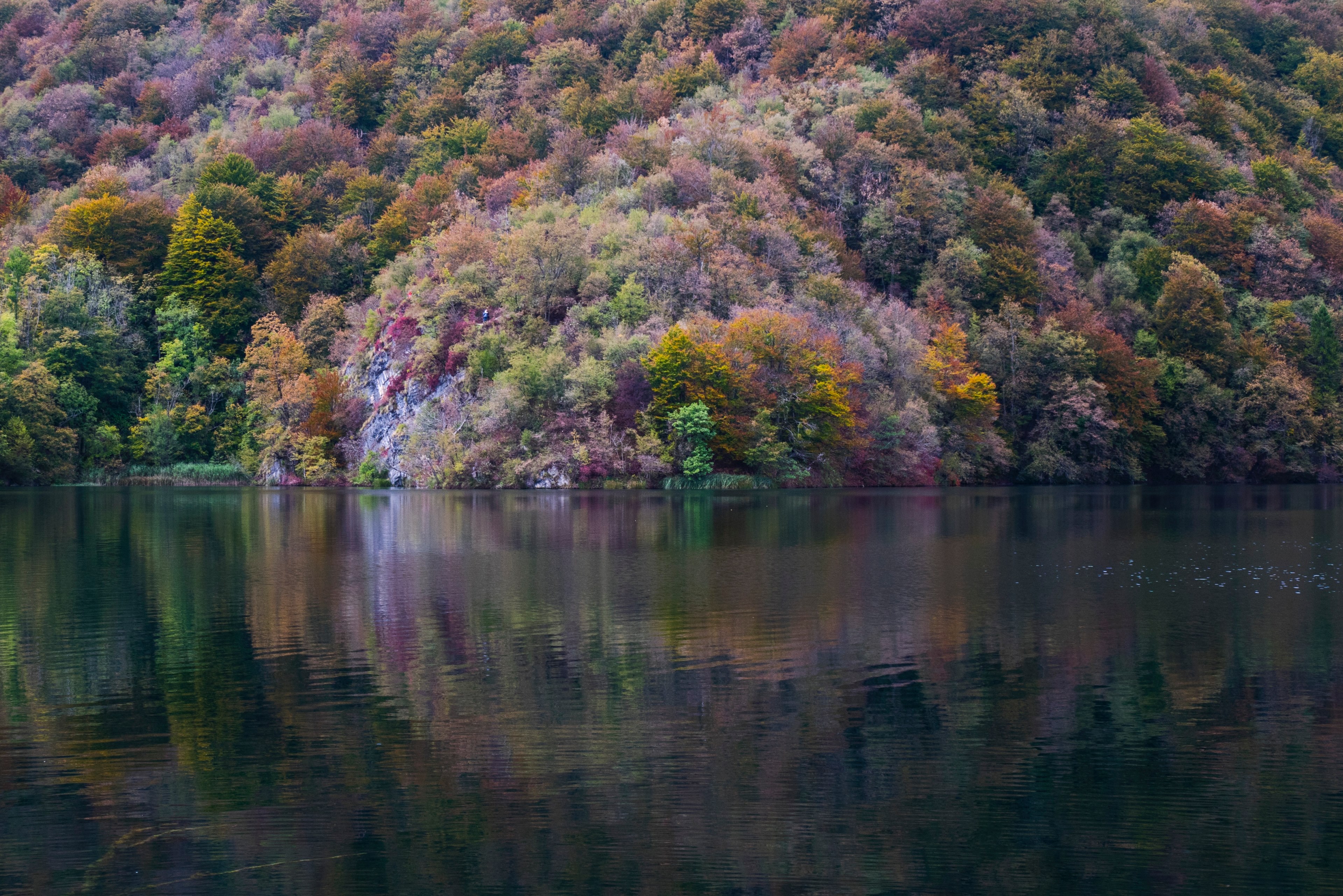 colorful bushes and trees on the shore of a quiet lake in plitvice lakes national park, colorful lake shore 4k, HD Wallpaper