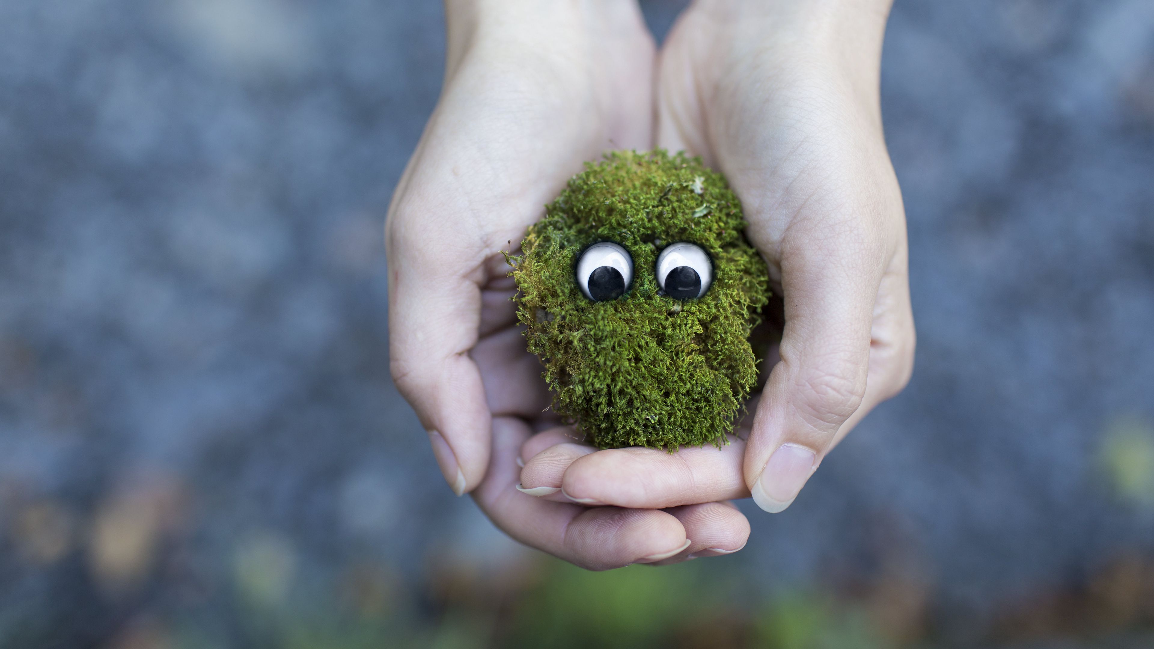 moss, hands, eyes, 4k, HD Wallpaper