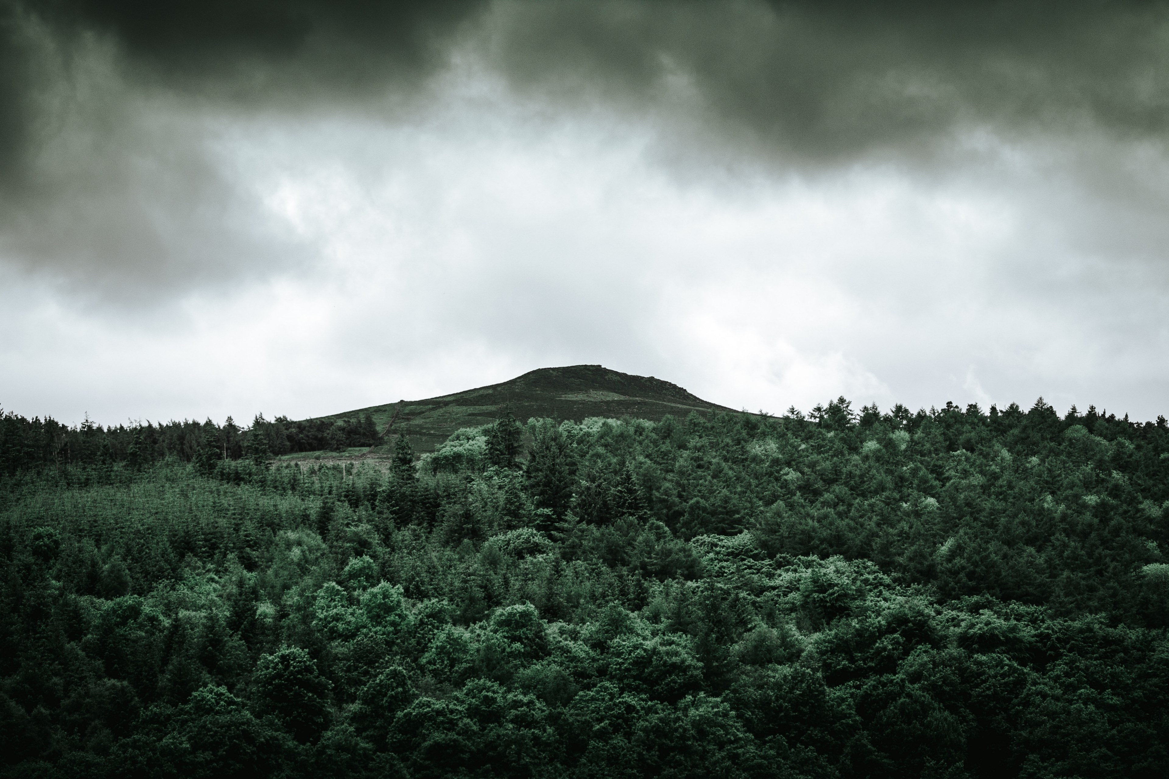a green hill rising up above a coniferous forest near ladybower reservoir, peaking emotion 4k, HD Wallpaper