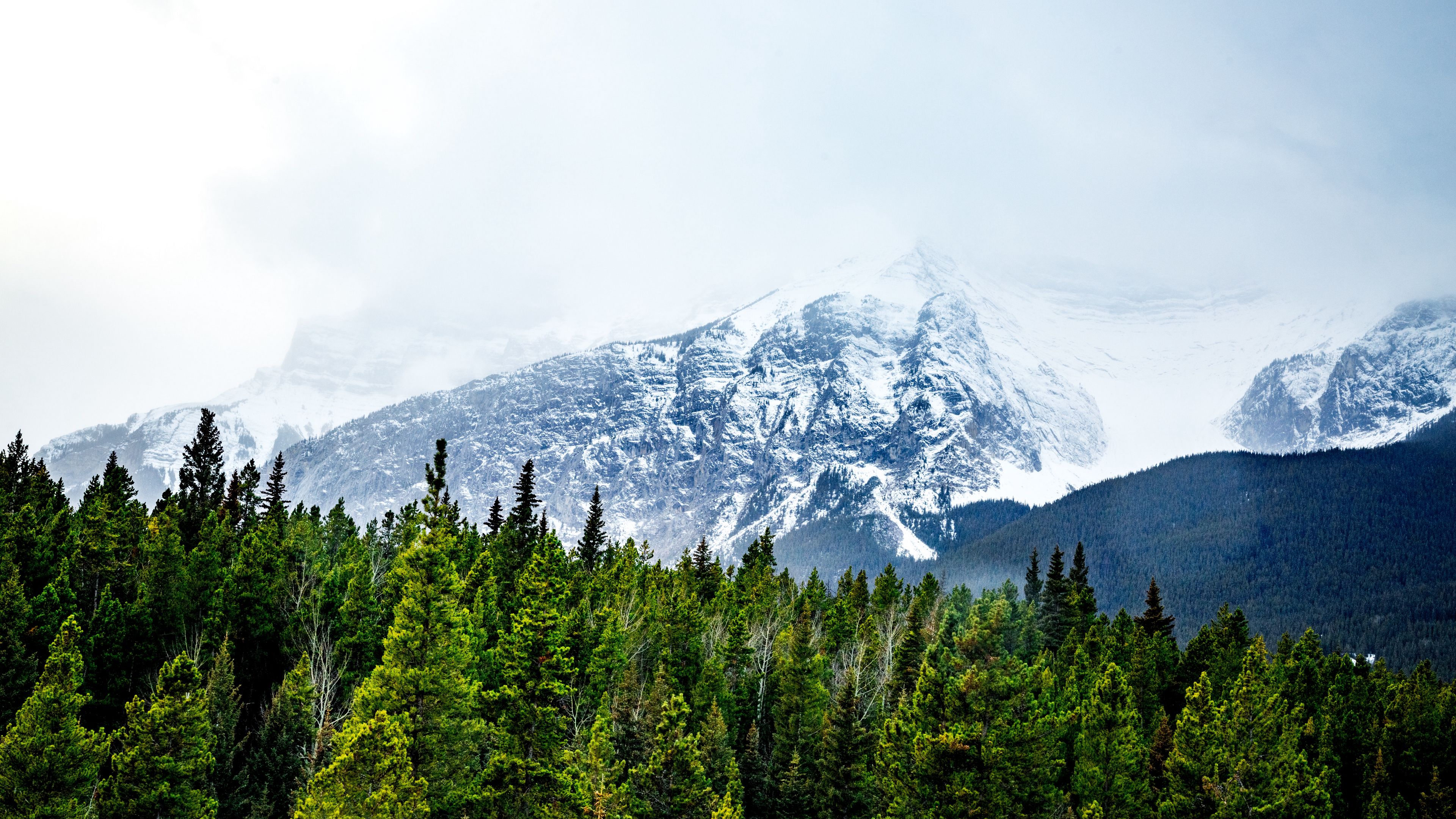 mountains, snow, peaks, trees, 4k, HD Wallpaper
