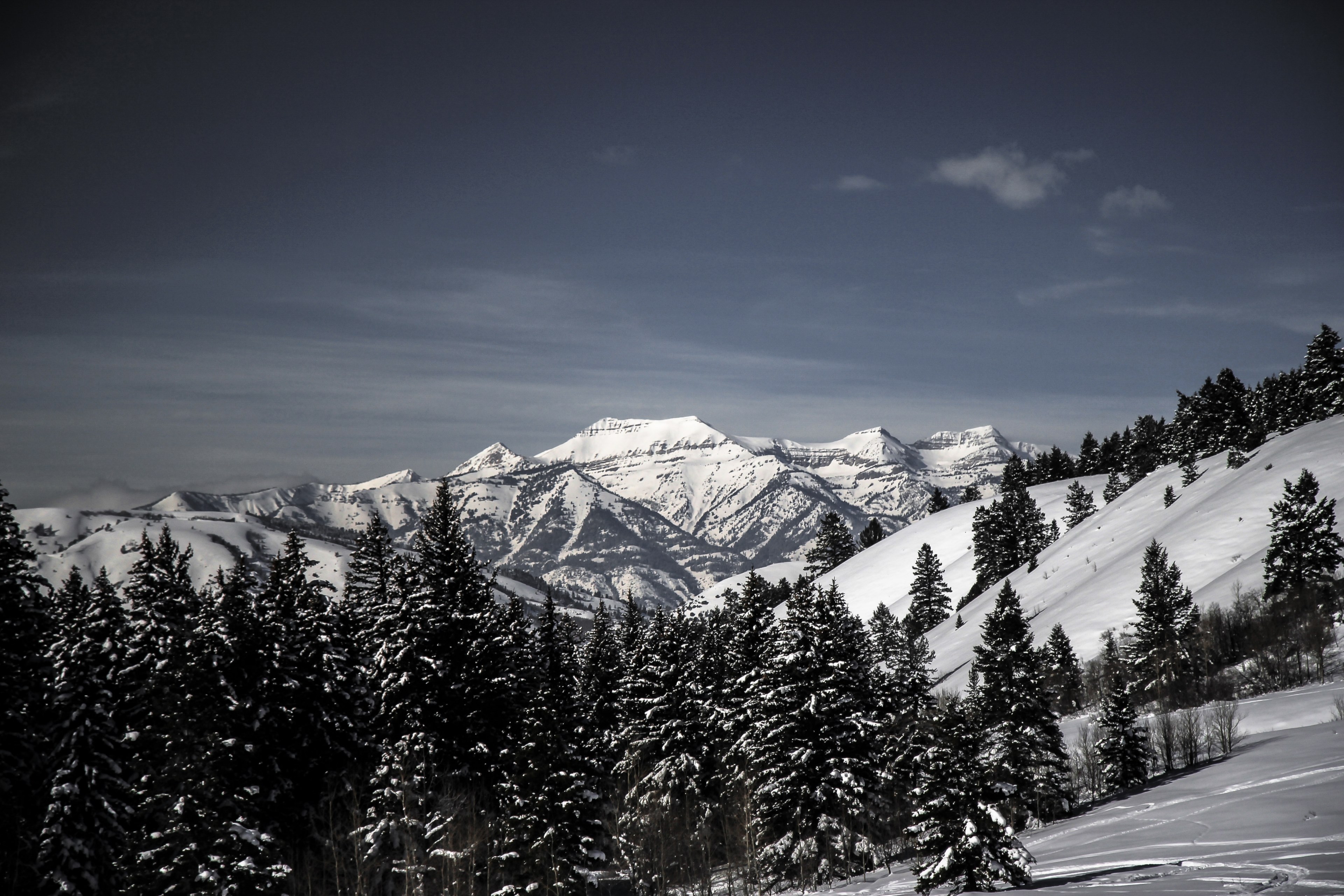 a scenic background shot of a treed forest among snow hills and larger mountains in the backdrop, snow mountain background photo 4k, HD Wallpaper