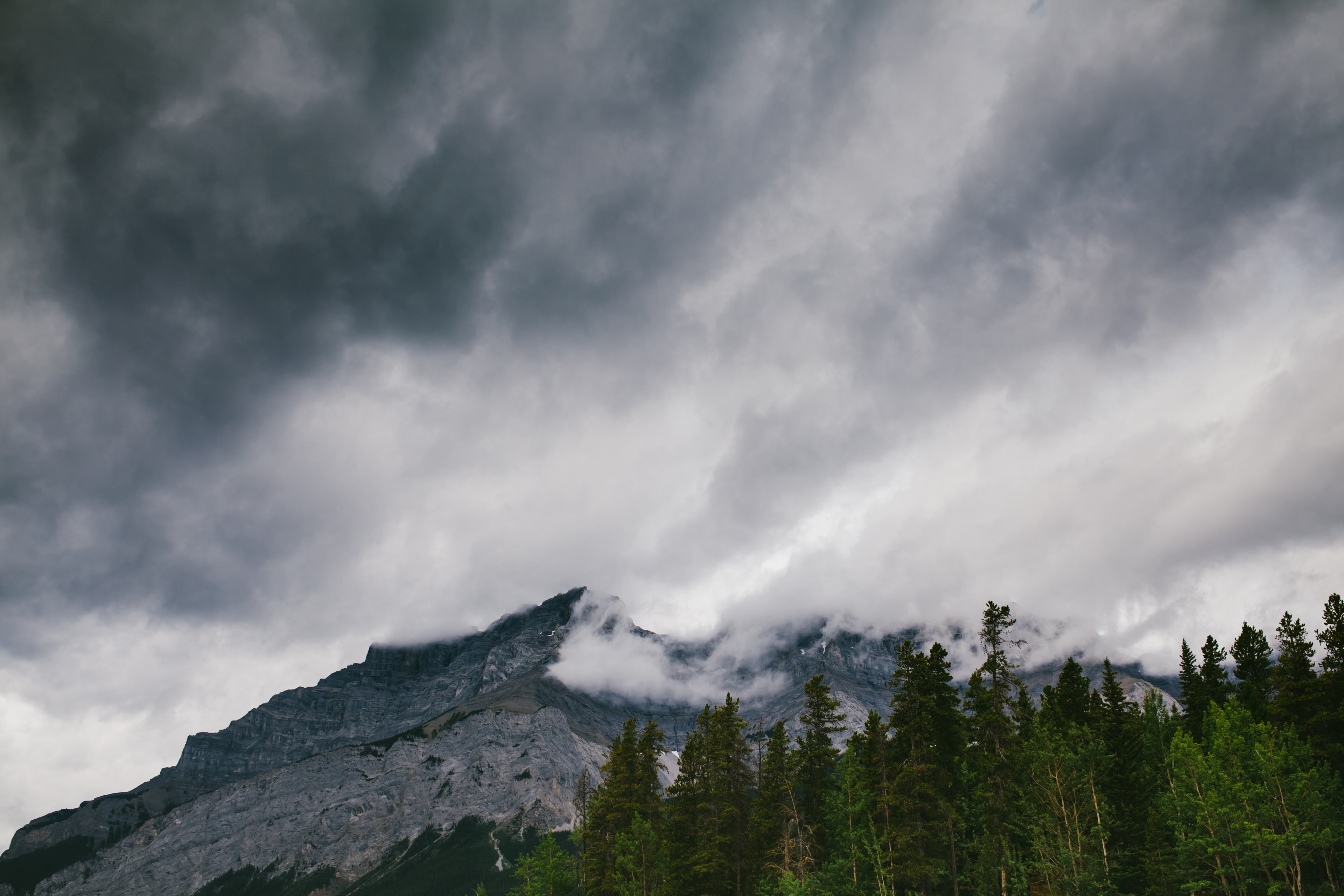 clouds envelop a rugged mountain with a coniferous forest at its base, clouds devouring a mountain 4k, HD Wallpaper