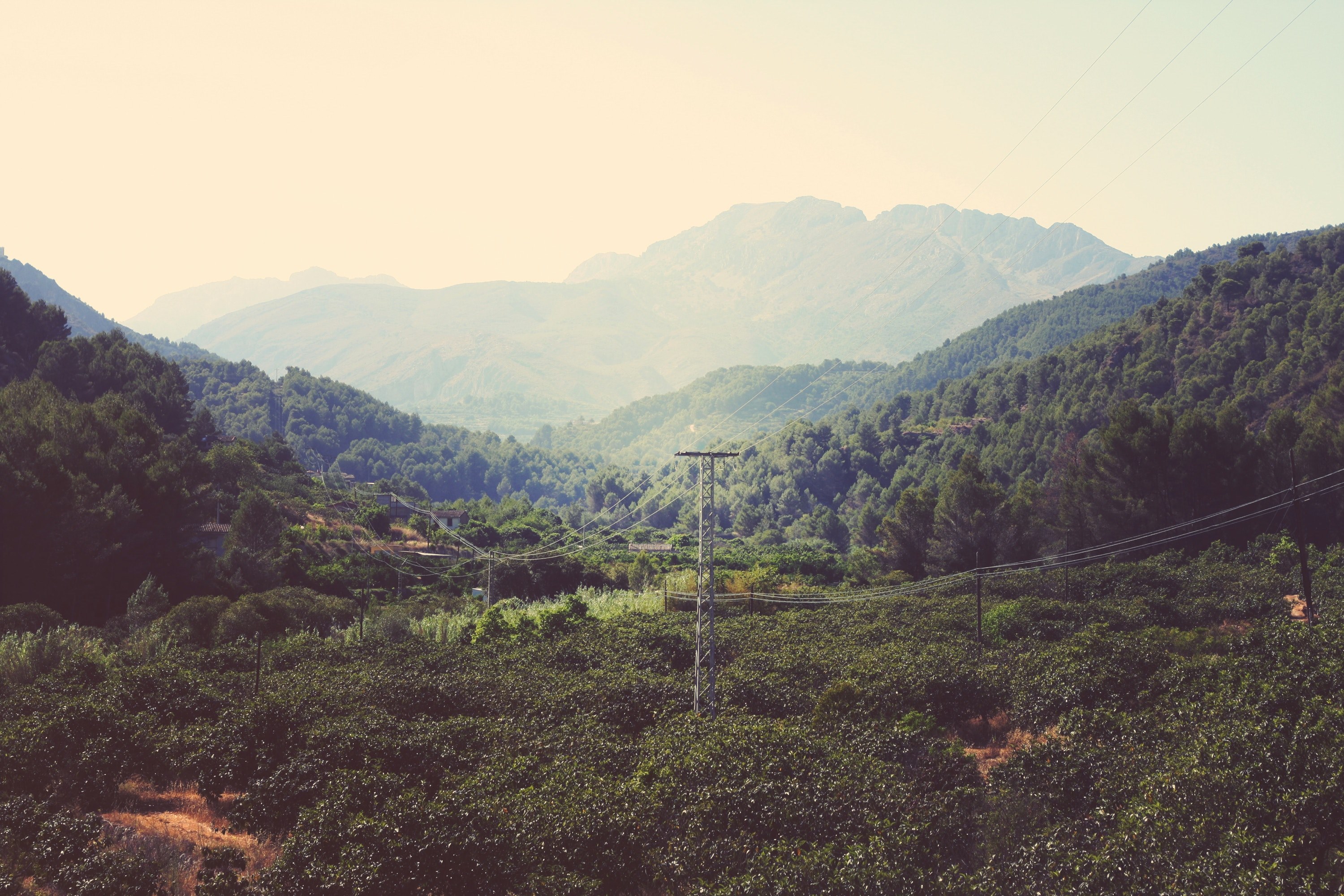 power poles stretch across hills covered with green trees and shrubs, village on woody hills 4k, HD Wallpaper