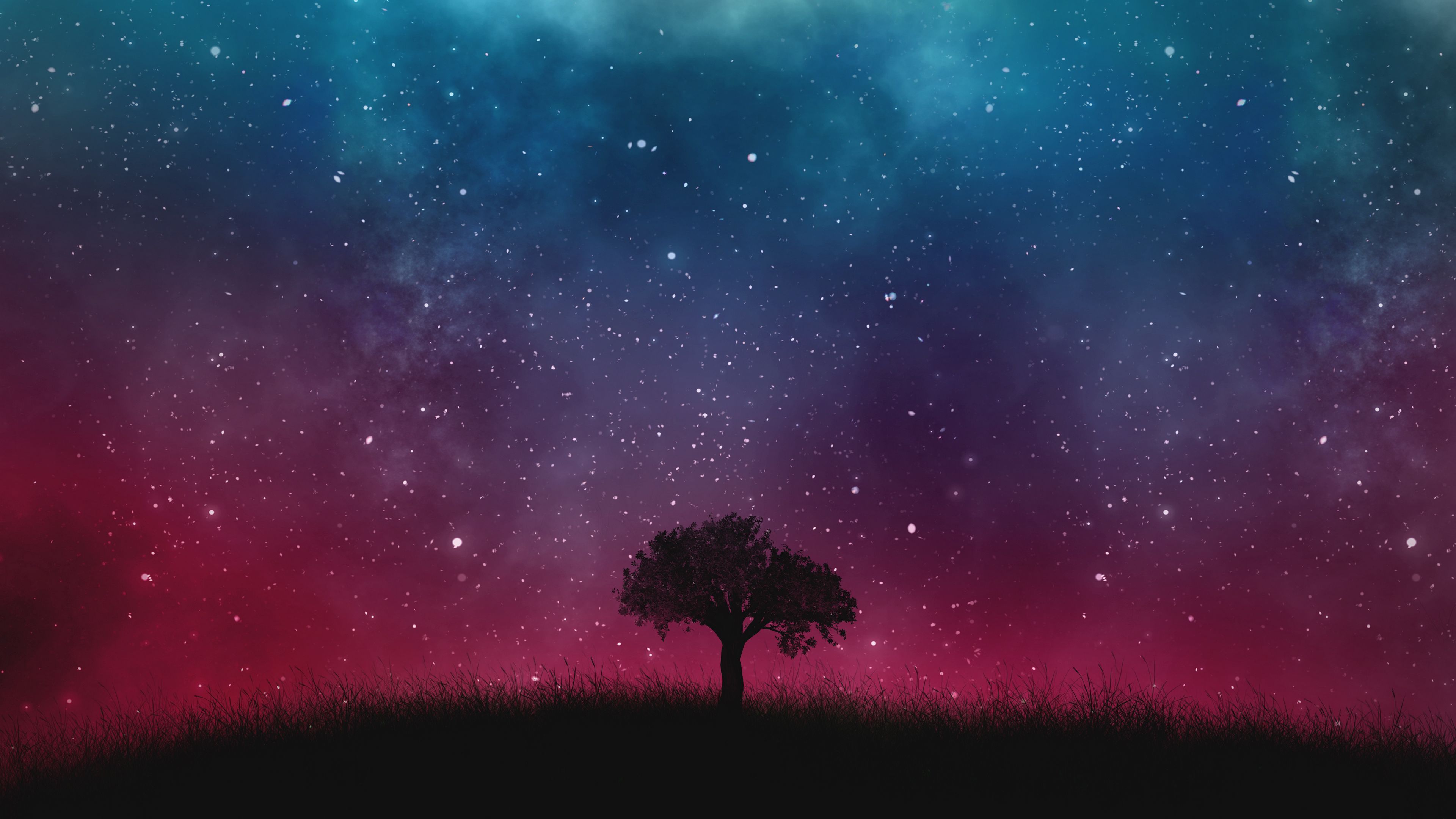 starry sky, night, tree, 4k, HD Wallpaper