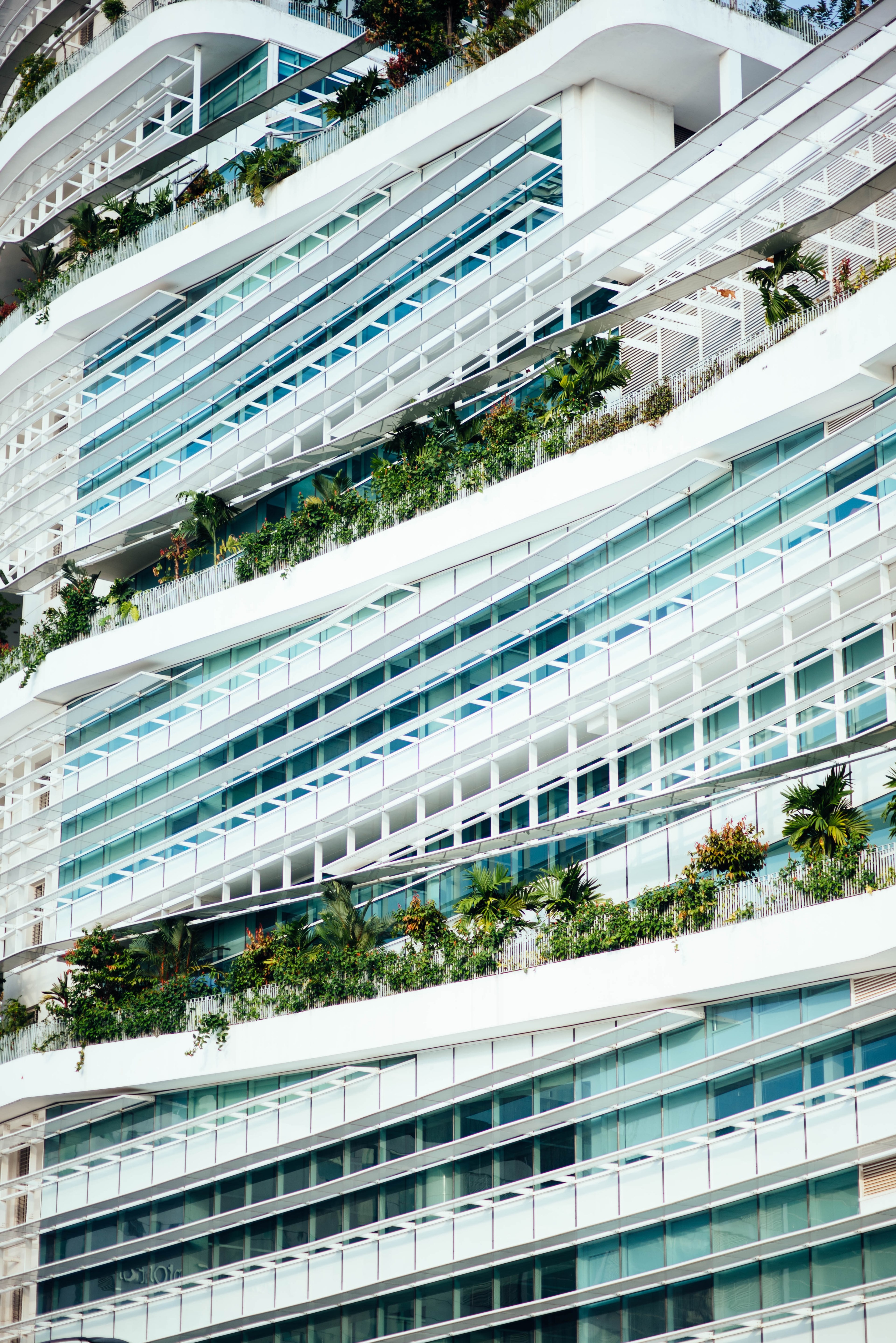 hotel balcony plants and windows hd, 4k, Phone HD Wallpaper