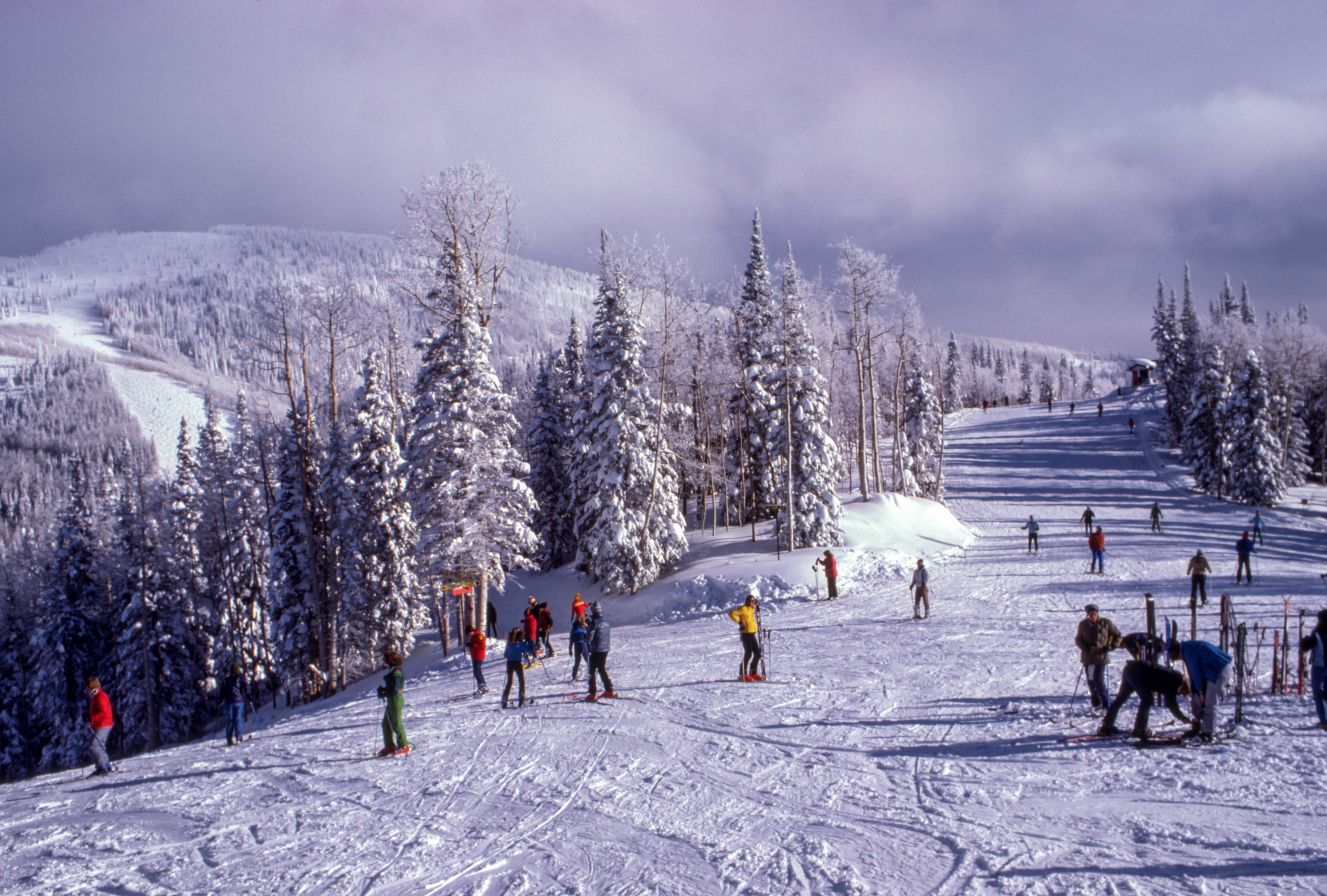 tourists skiing down a snowy slope surrounded by evergreen woods, skiing between the snow topped trees 4k, HD Wallpaper