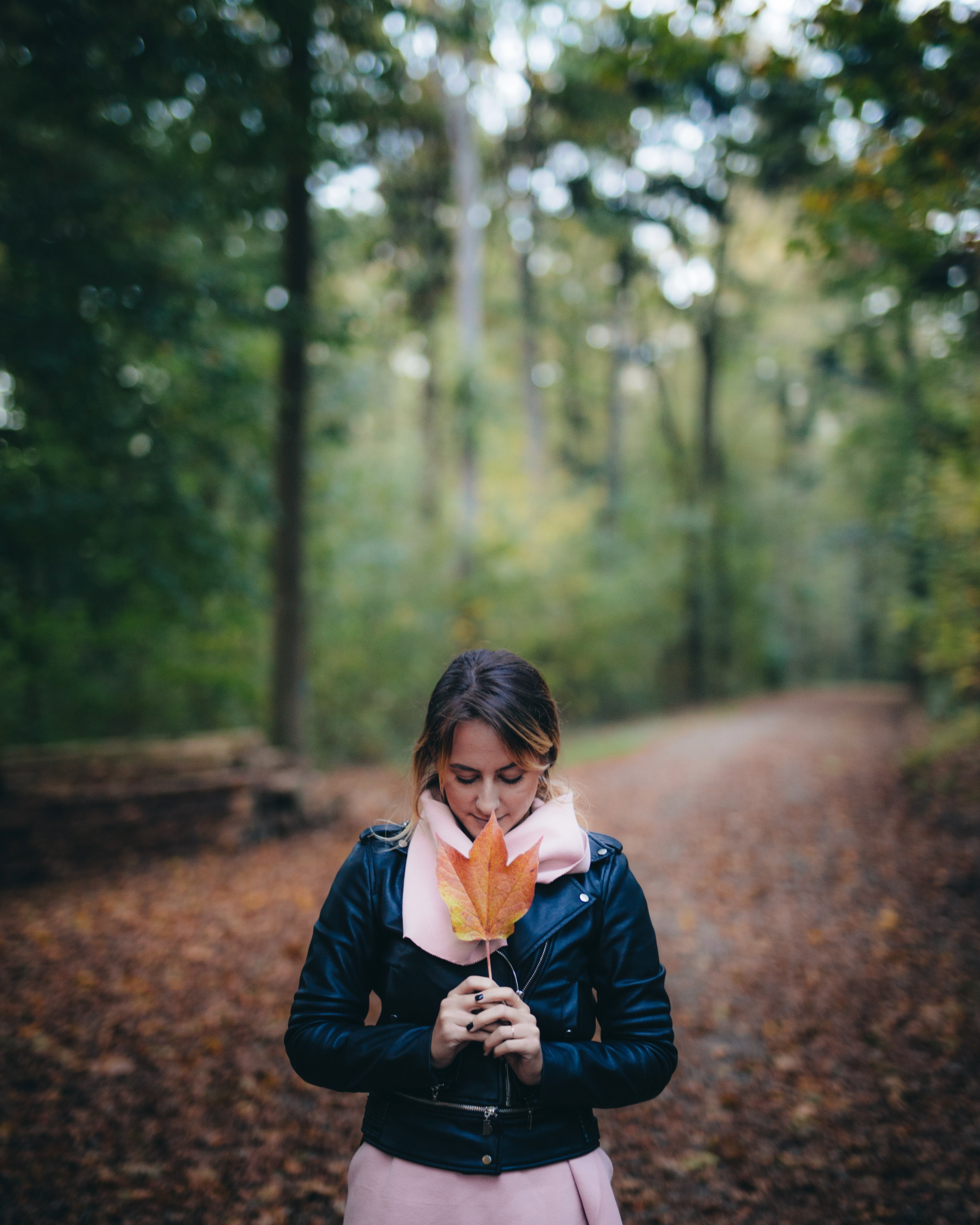 lets get lost in the woods 4k, Phone HD Wallpaper
