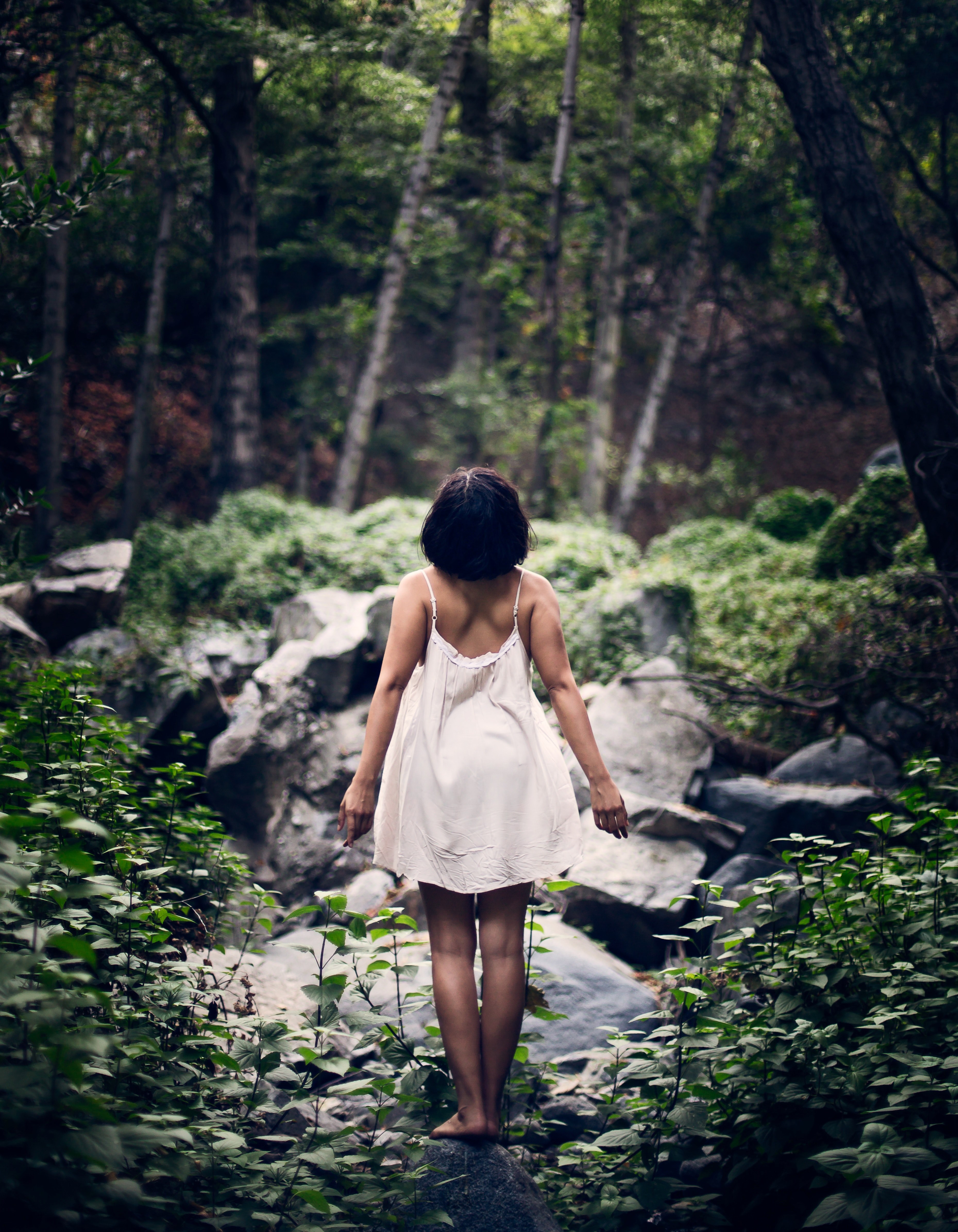 lost in the woods 4k, Phone HD Wallpaper