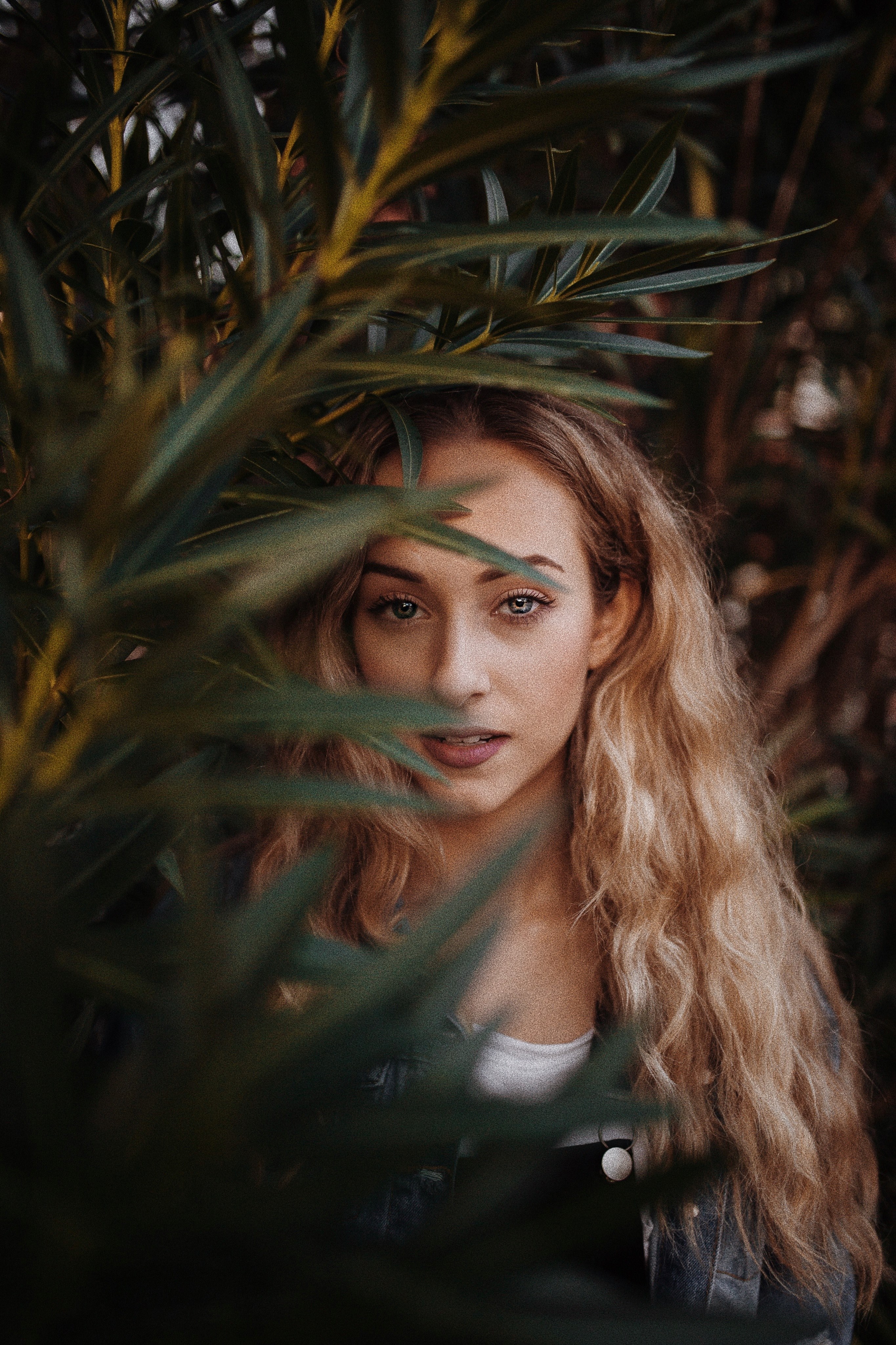 early mornings shot by ryan buckner 4k, Phone HD Wallpaper
