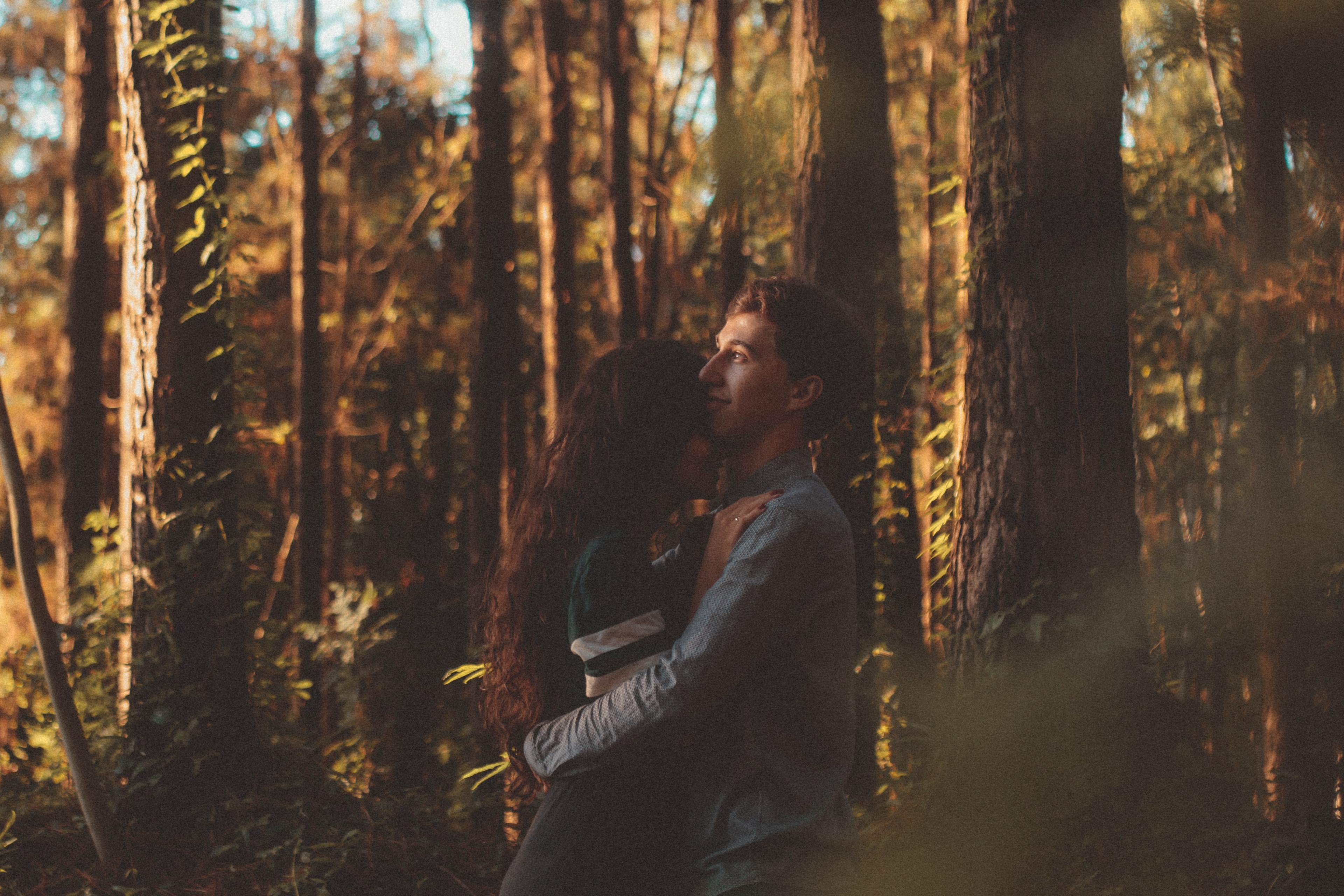 a sunlit couple hugs surrounded by trees in an autumn forest, sunlit forest hug 4k, HD Wallpaper