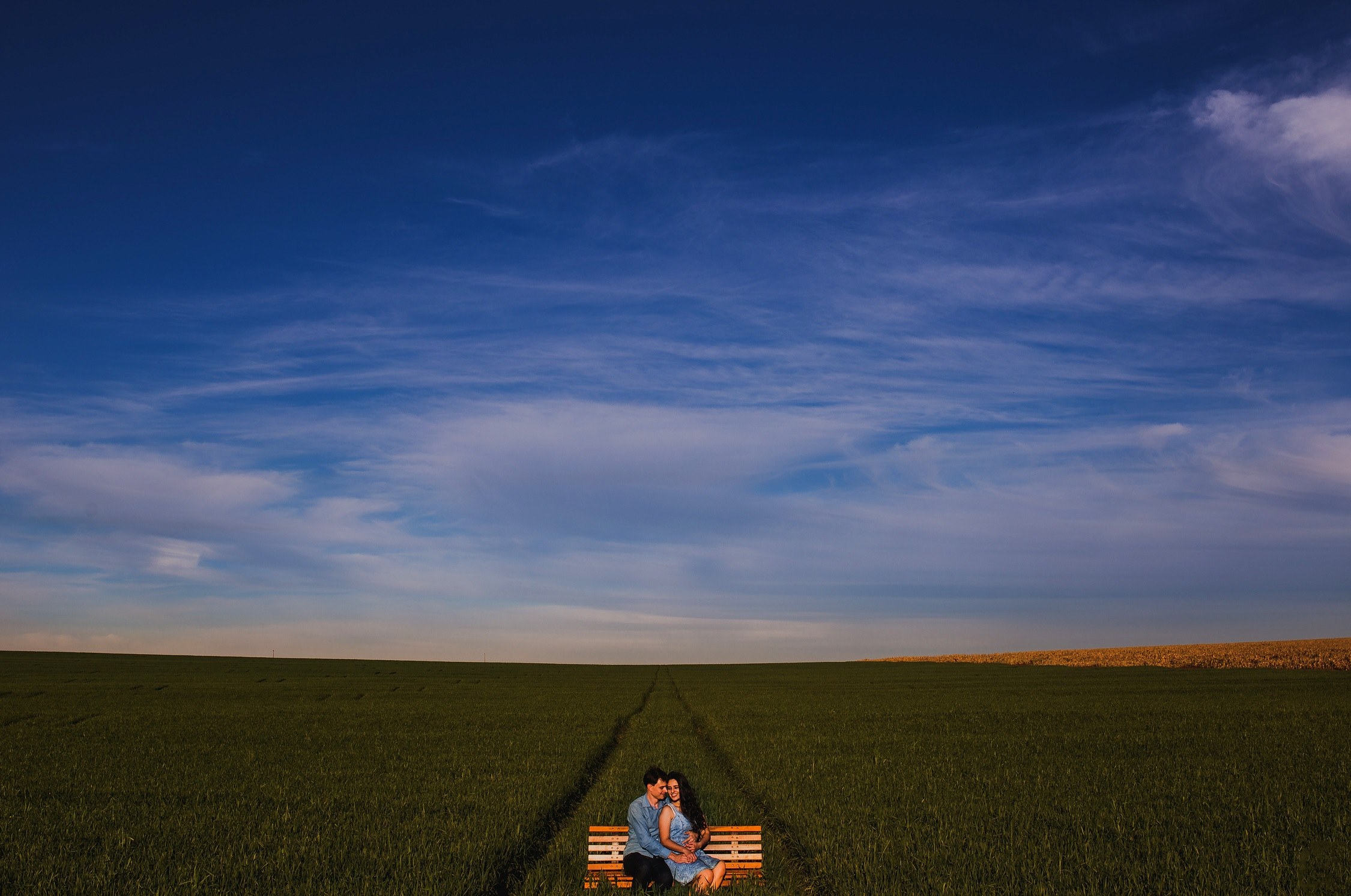 field horizon bench and romantic 4k, HD Wallpaper