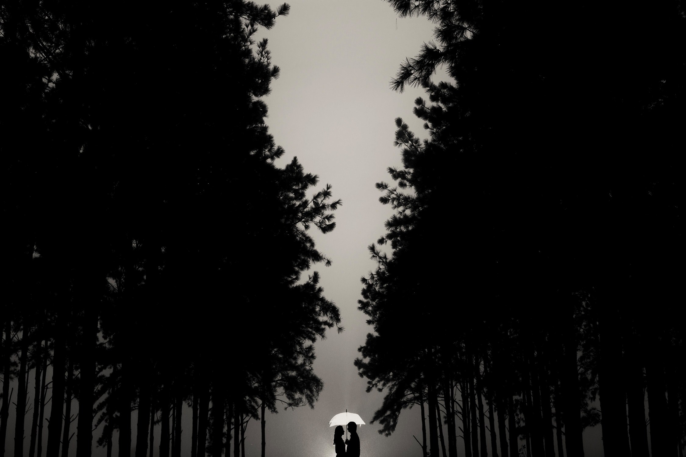 chuva nature wedding day and wedding dress 4k, HD Wallpaper