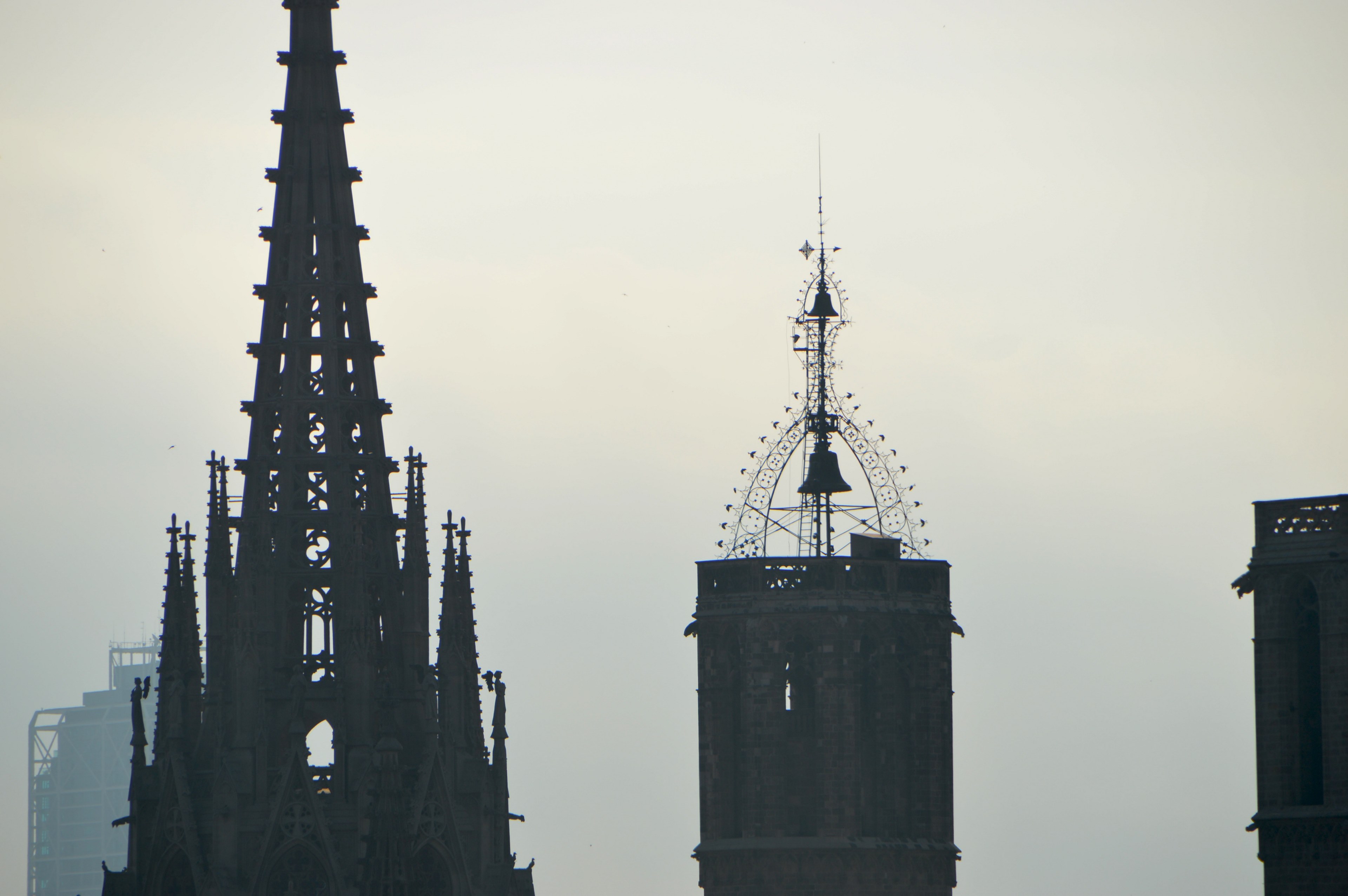 church catholic bell and weather vane 4k, HD Wallpaper