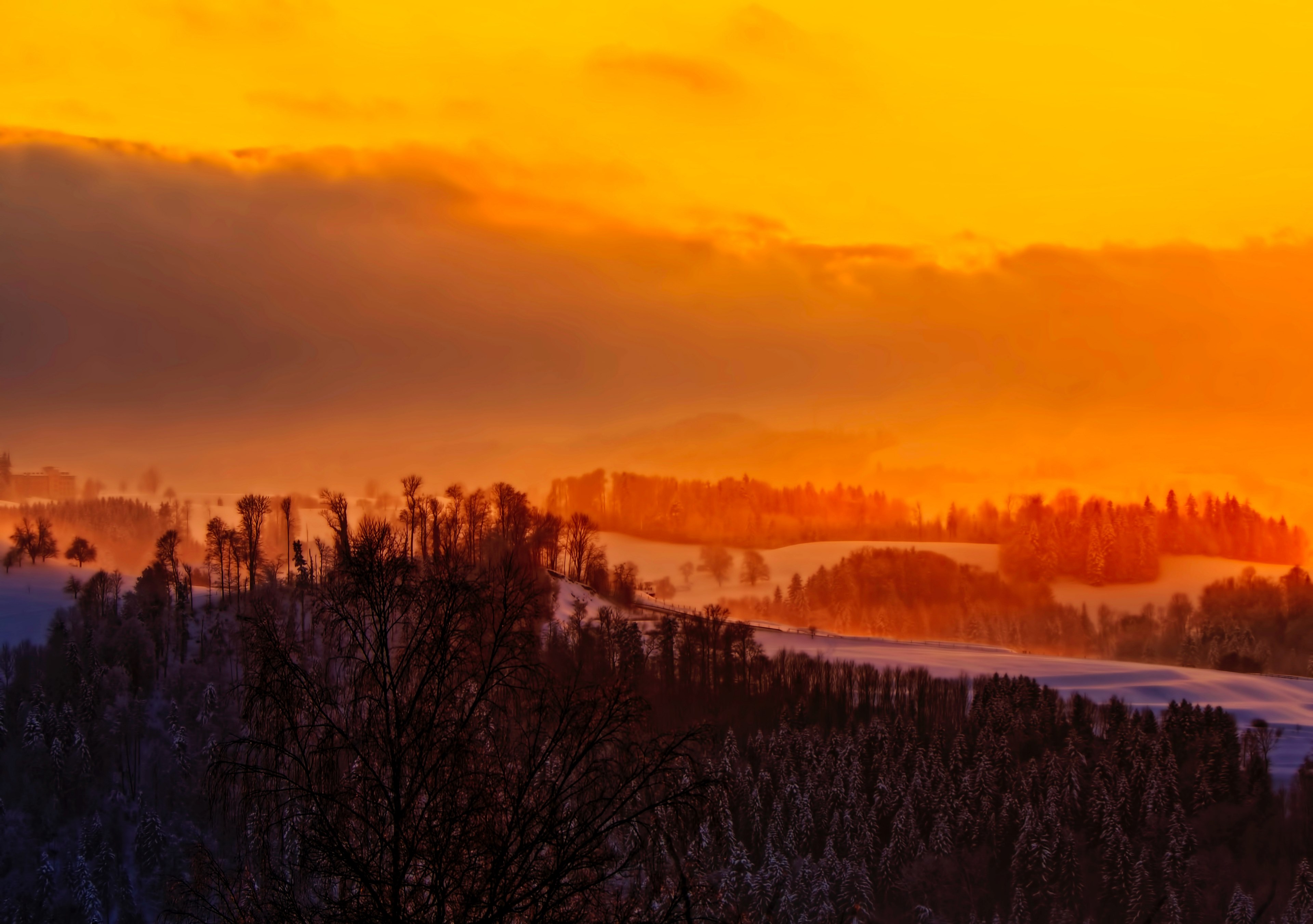forests on snowy mountains under a cloudy orange sunny sky with saturated effect, sunset mountain tree and cloud 4k, HD Wallpaper