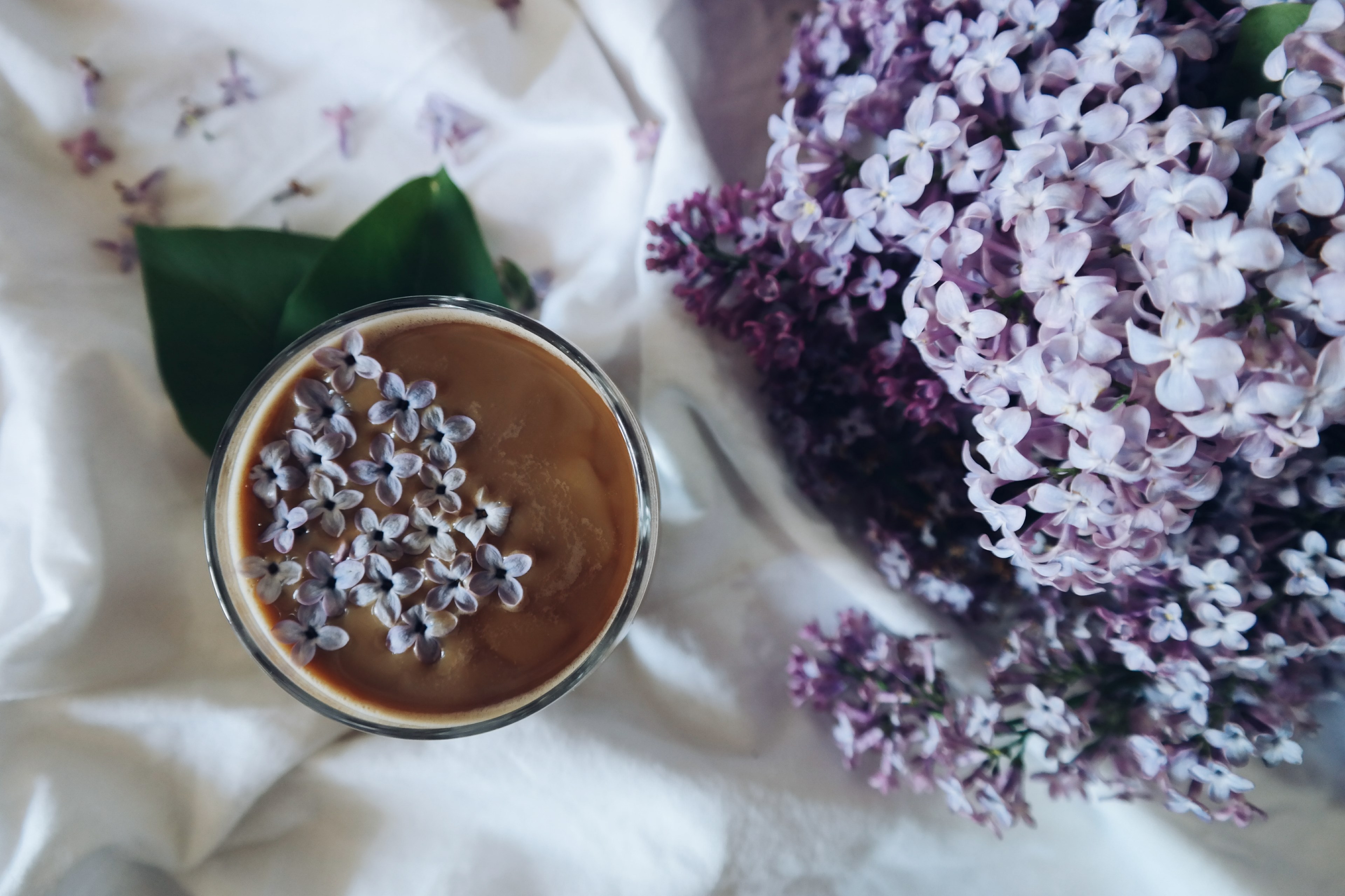 an overhead shot of a cup of coffee with small violet flowers on its surface, top view of floral coffee 4k, HD Wallpaper