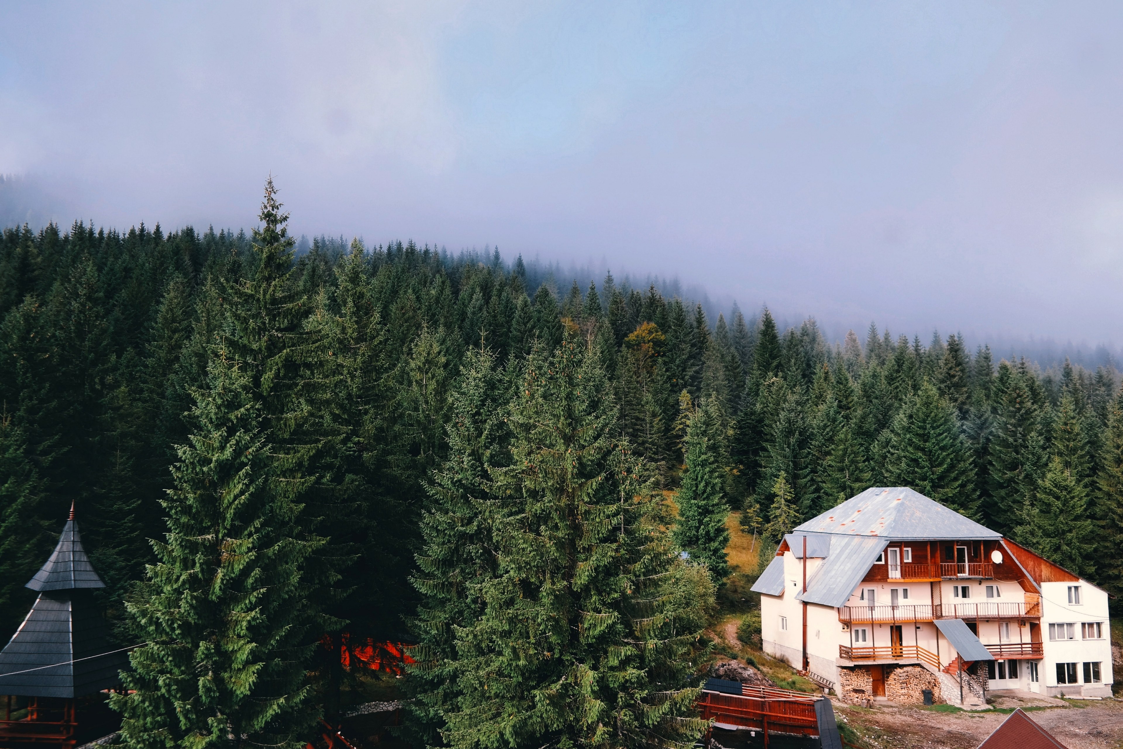 forest house fog and foggy wood 4k, HD Wallpaper