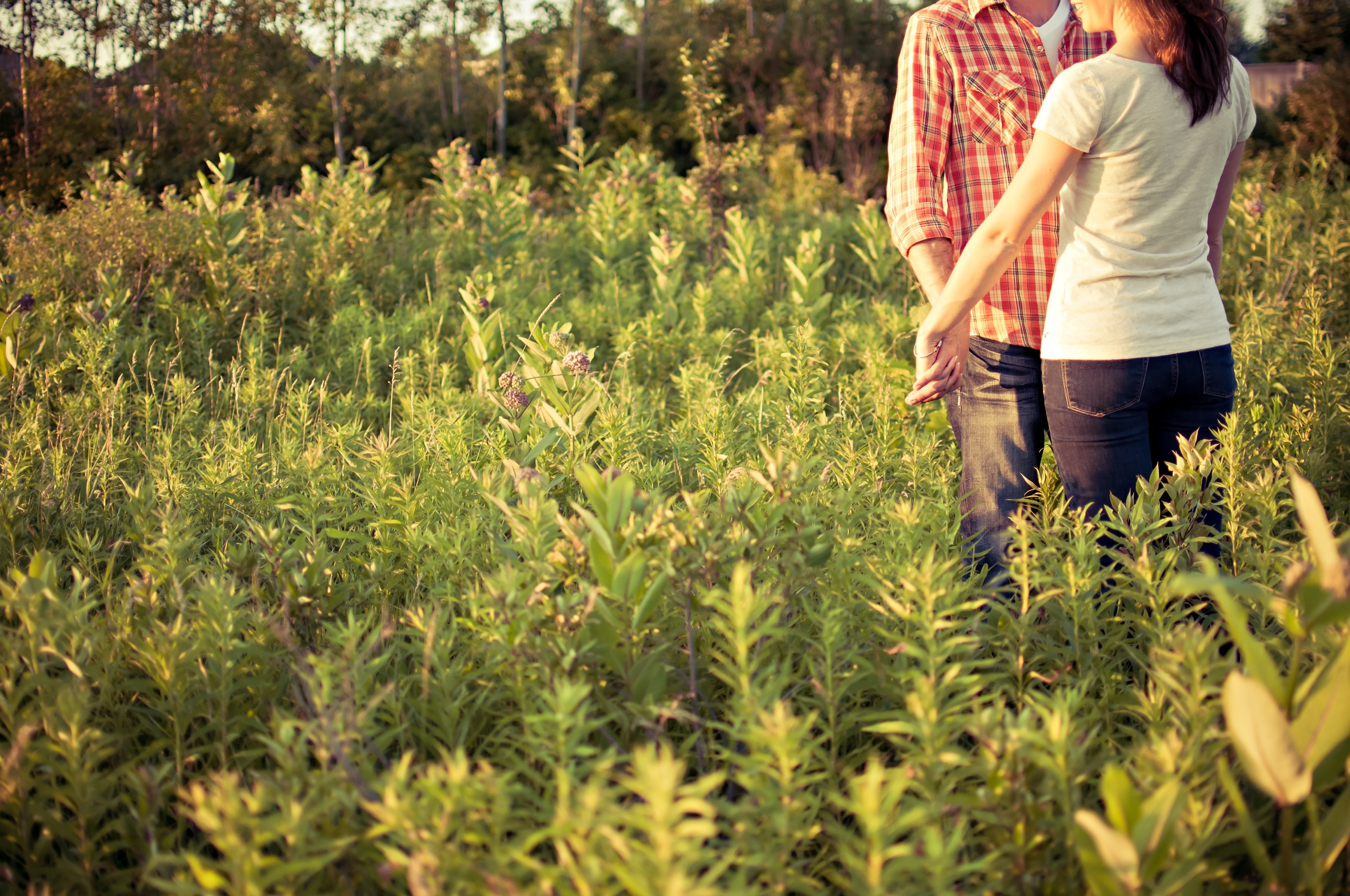couple together in a field of wild plants in soft sunlight, wild plants 4k, HD Wallpaper