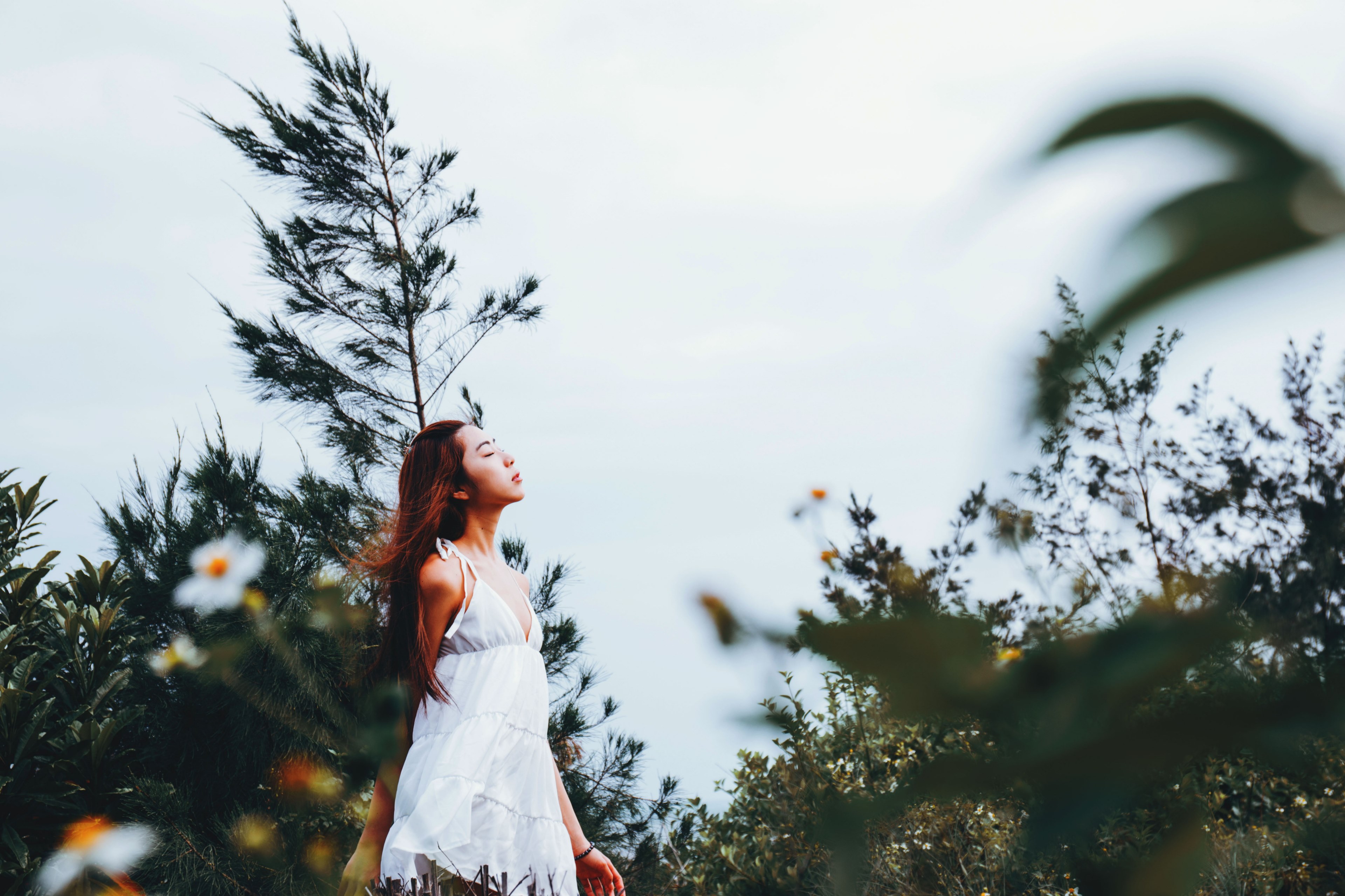 a young dark haired woman in a white dress strolling in a meadow, woman in a white dress in a meadow 4k, HD Wallpaper