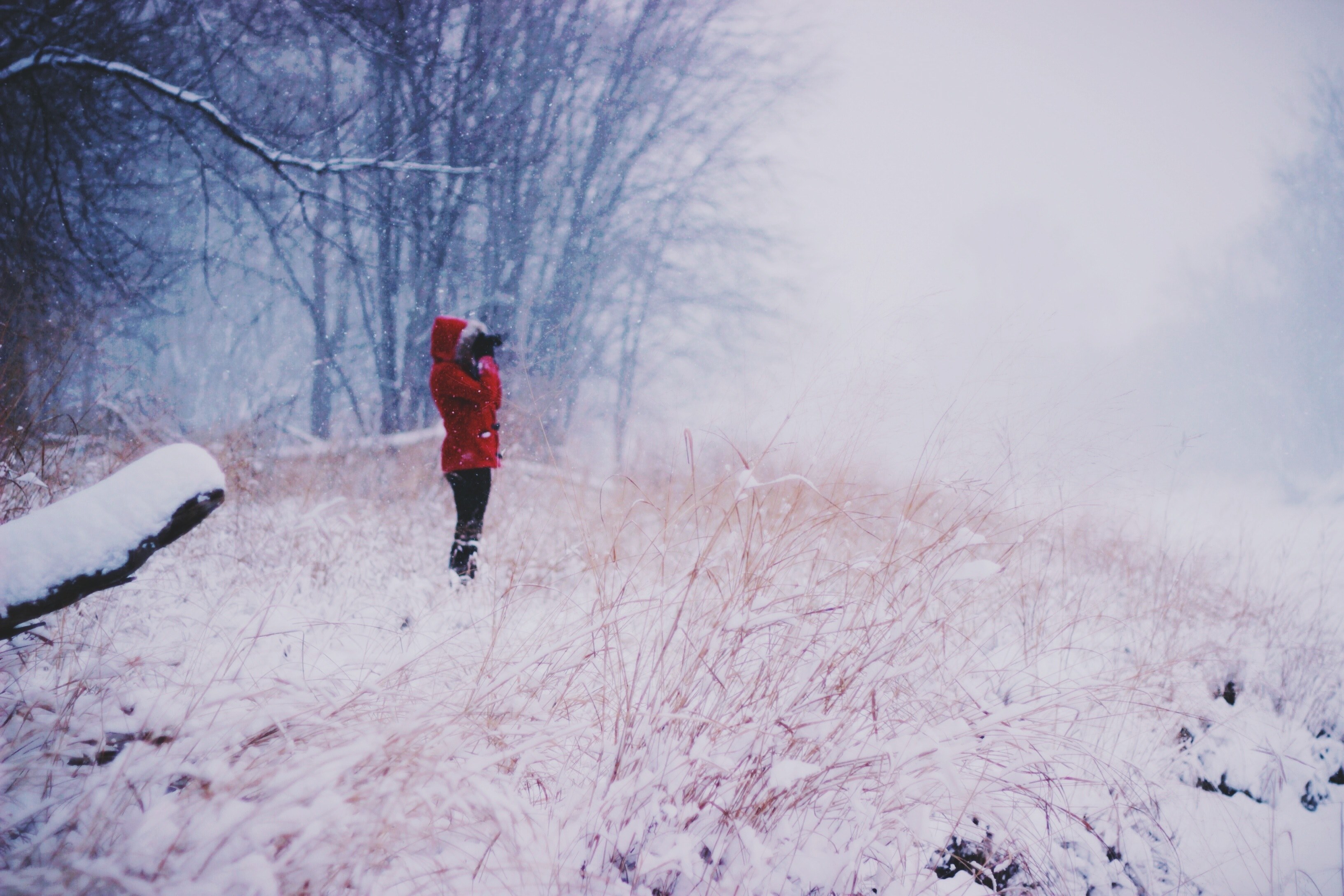 a woman in a red coat looking through binoculars on a snow covered meadow, snowy meadow through binoculars 4k, HD Wallpaper