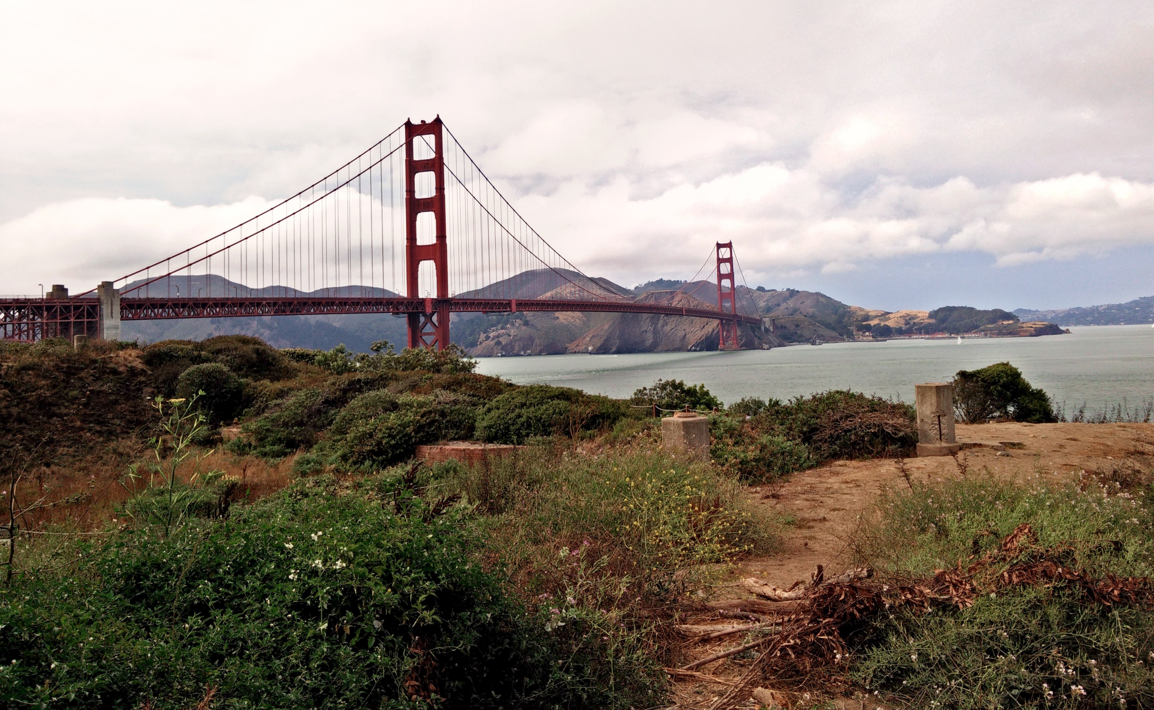 view of golden gate bridge from the bushes, golden gate through the brush 4k, HD Wallpaper