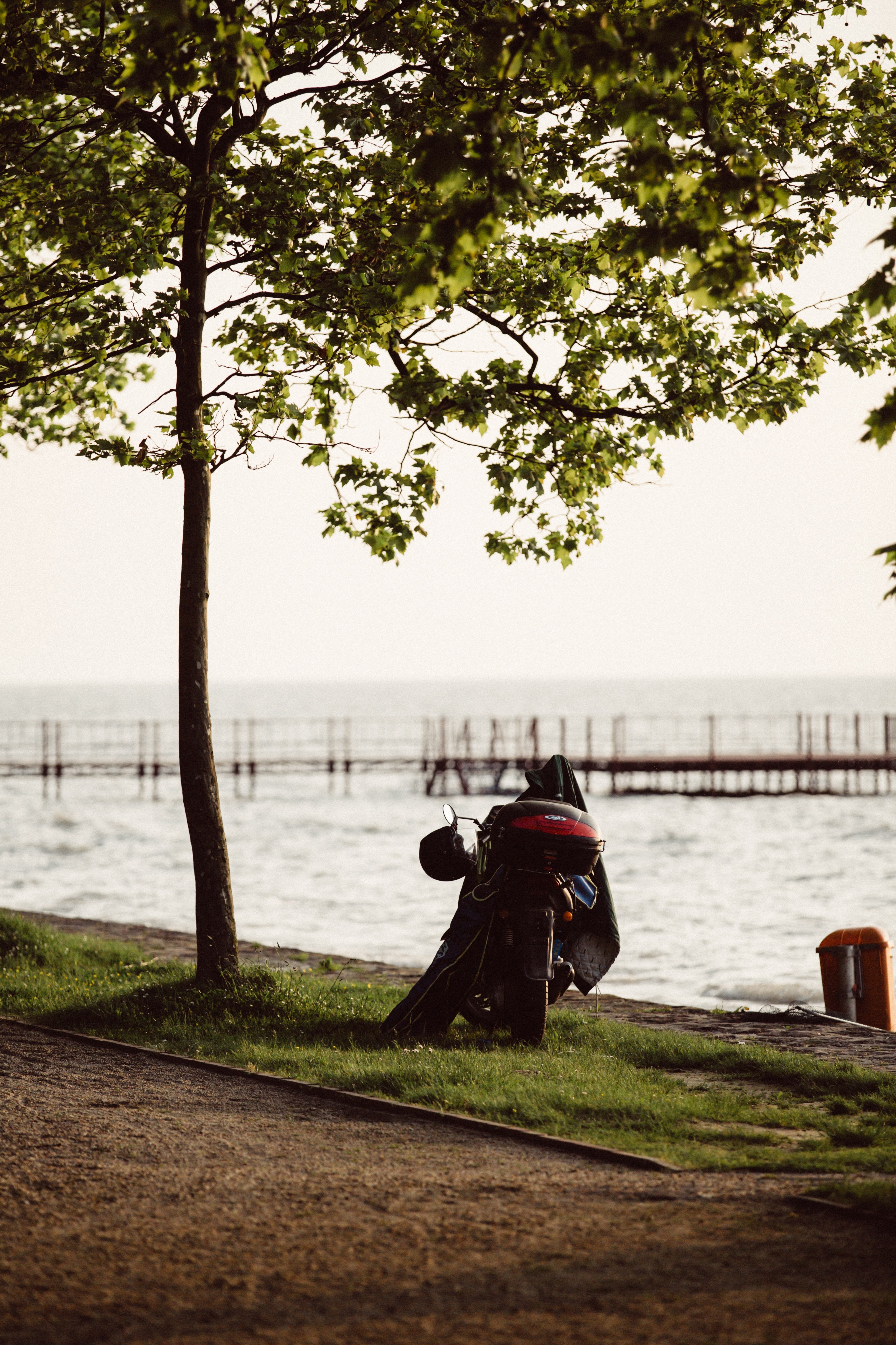 a motorbike stands aside a path beneath a tree in front of lake balaton, motorbike by the lake 4k, Phone HD Wallpaper