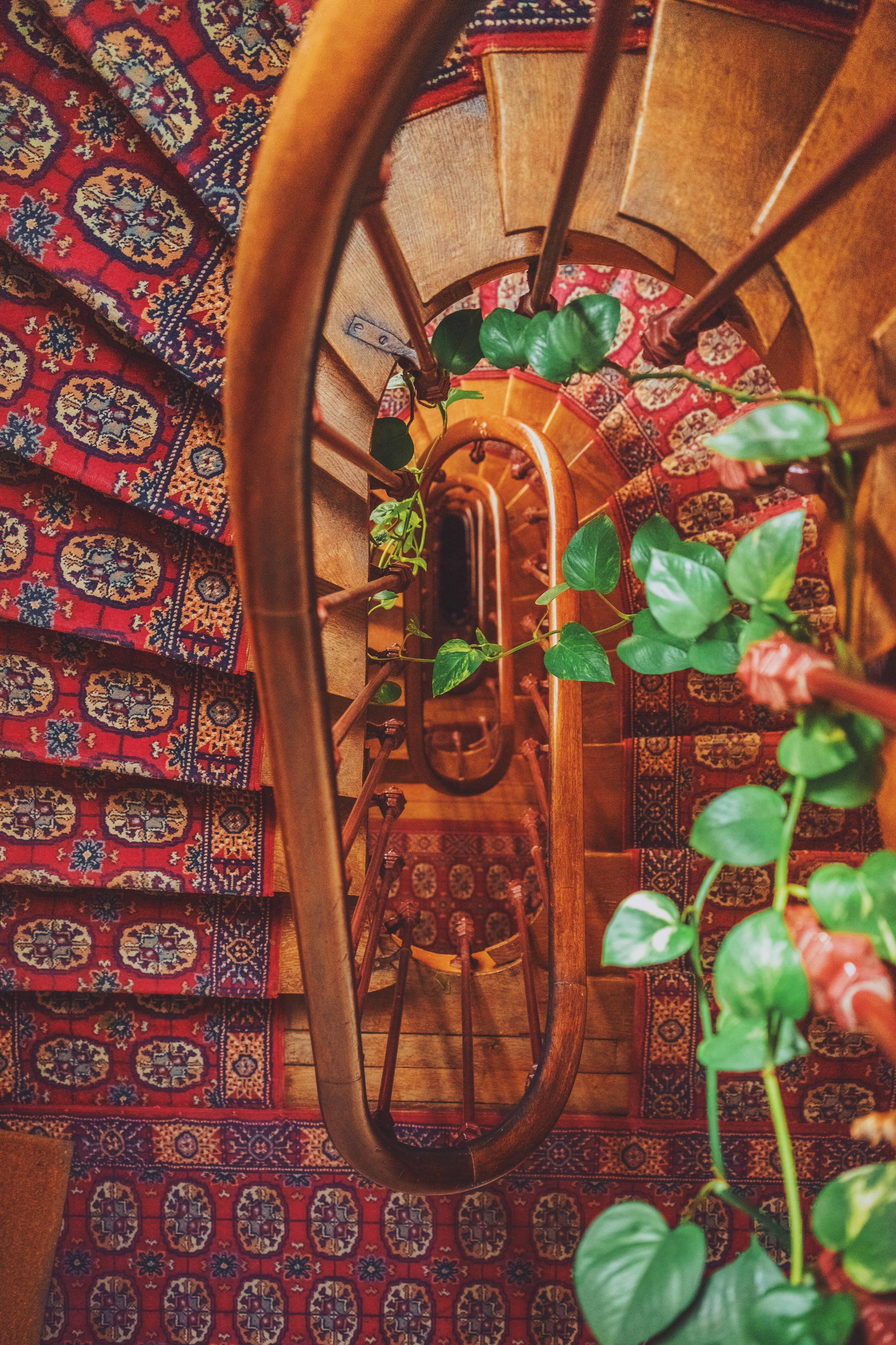 stairs carpet railing and staircase hd, 4k, Phone HD Wallpaper