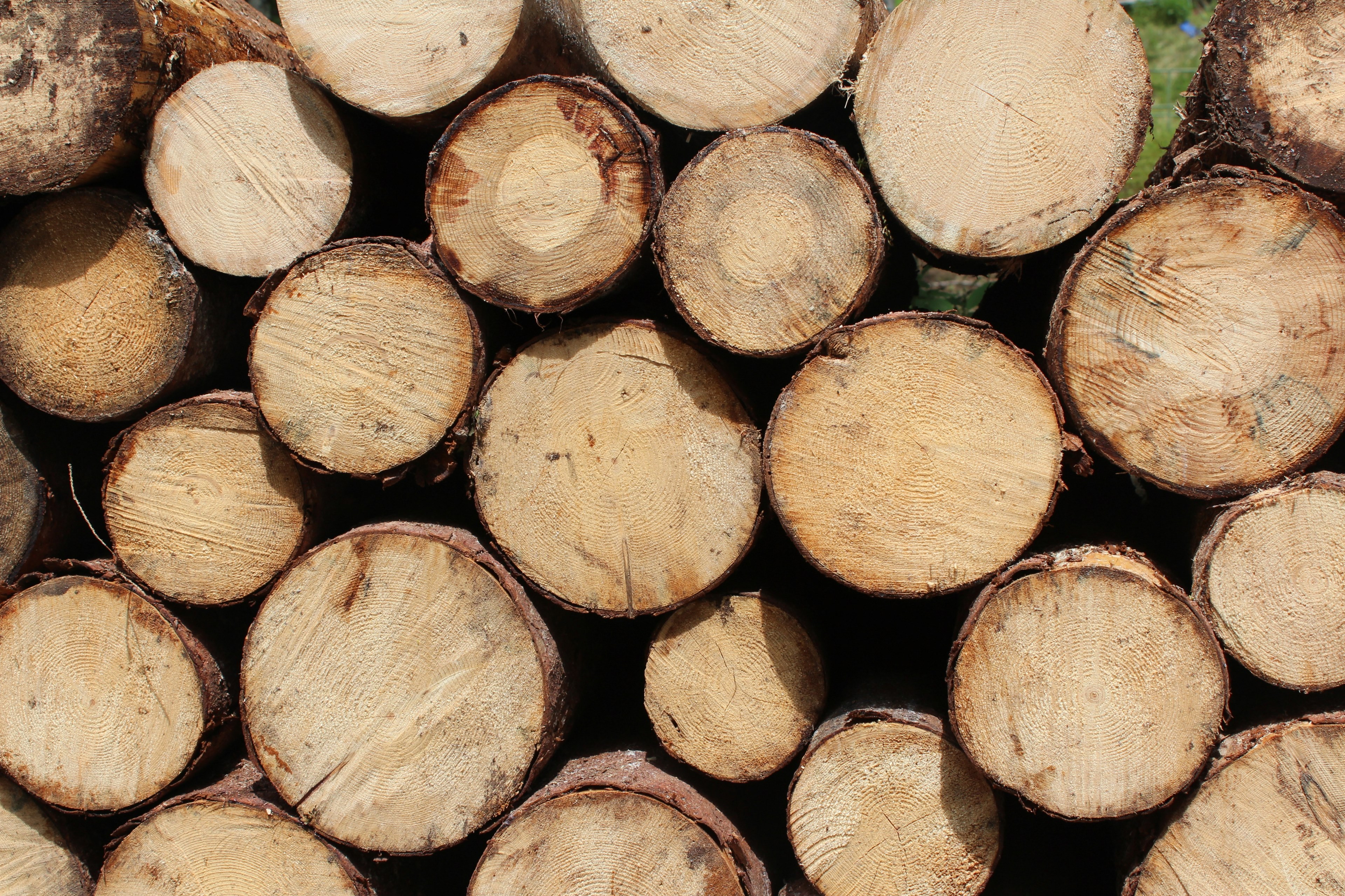 a pile of thick sawn logs stacked on top of each other, stacked logs 4k, HD Wallpaper