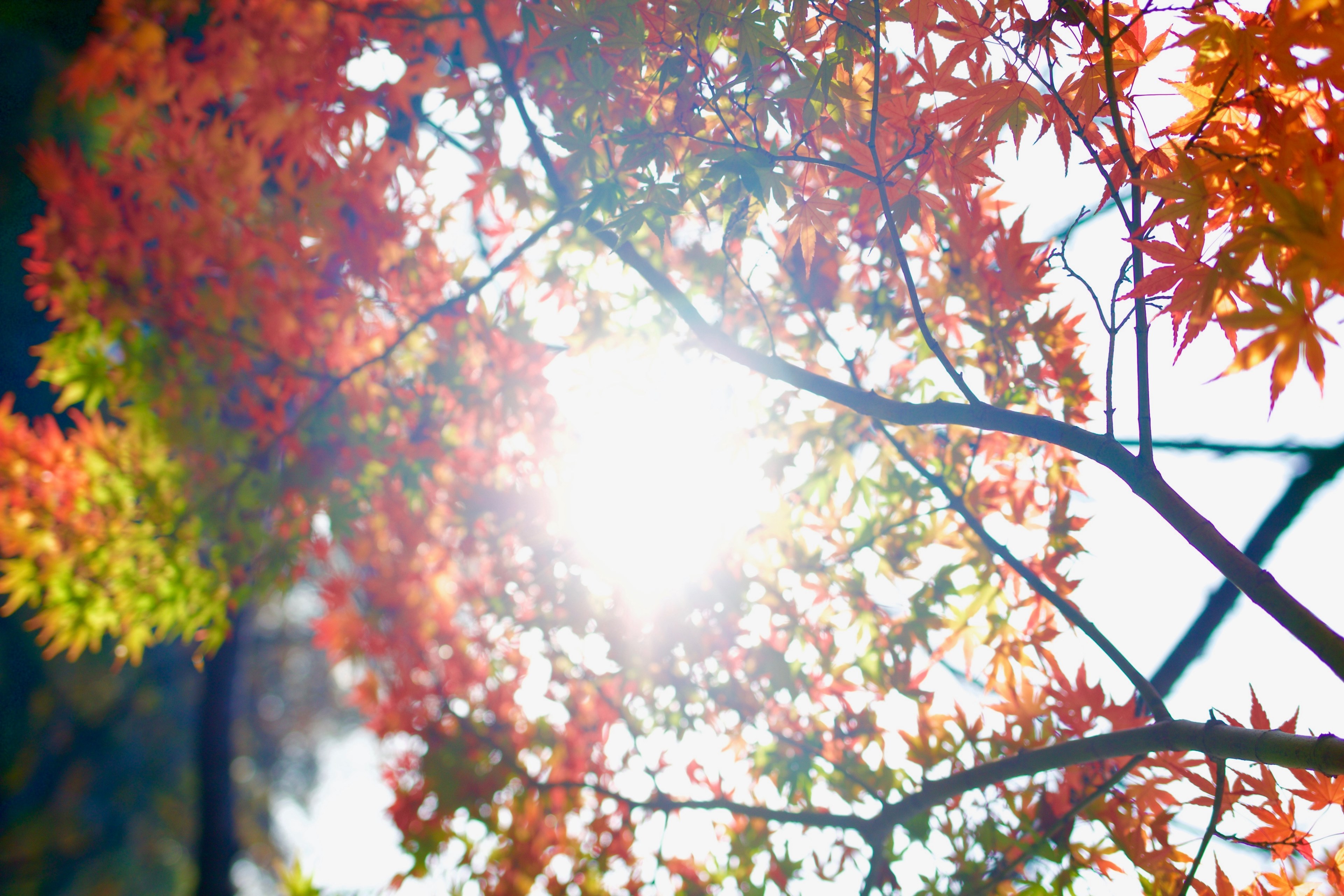 warmth 4k, HD Wallpaper