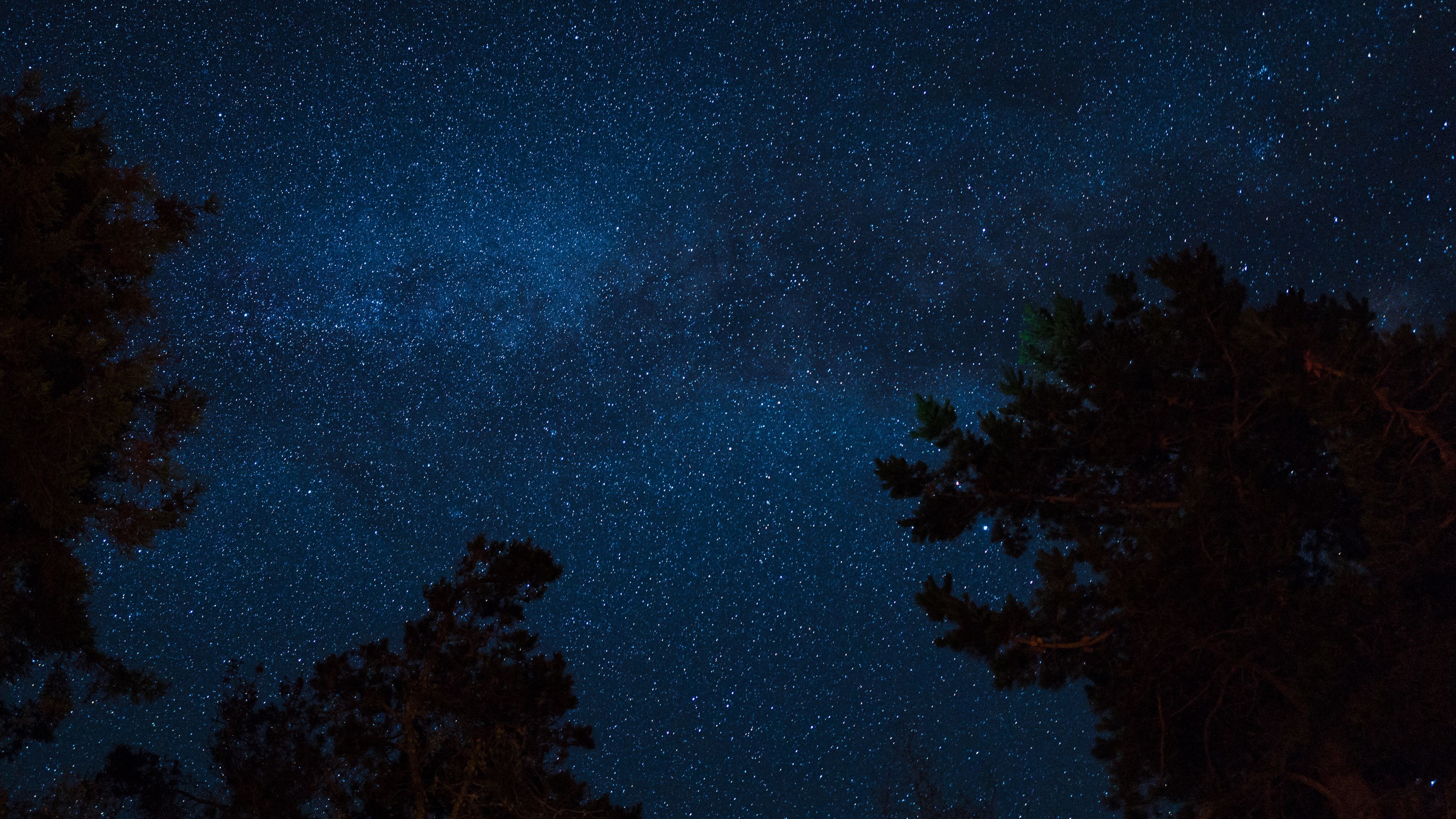 starry sky, night, trees, stars, 4k, HD Wallpaper