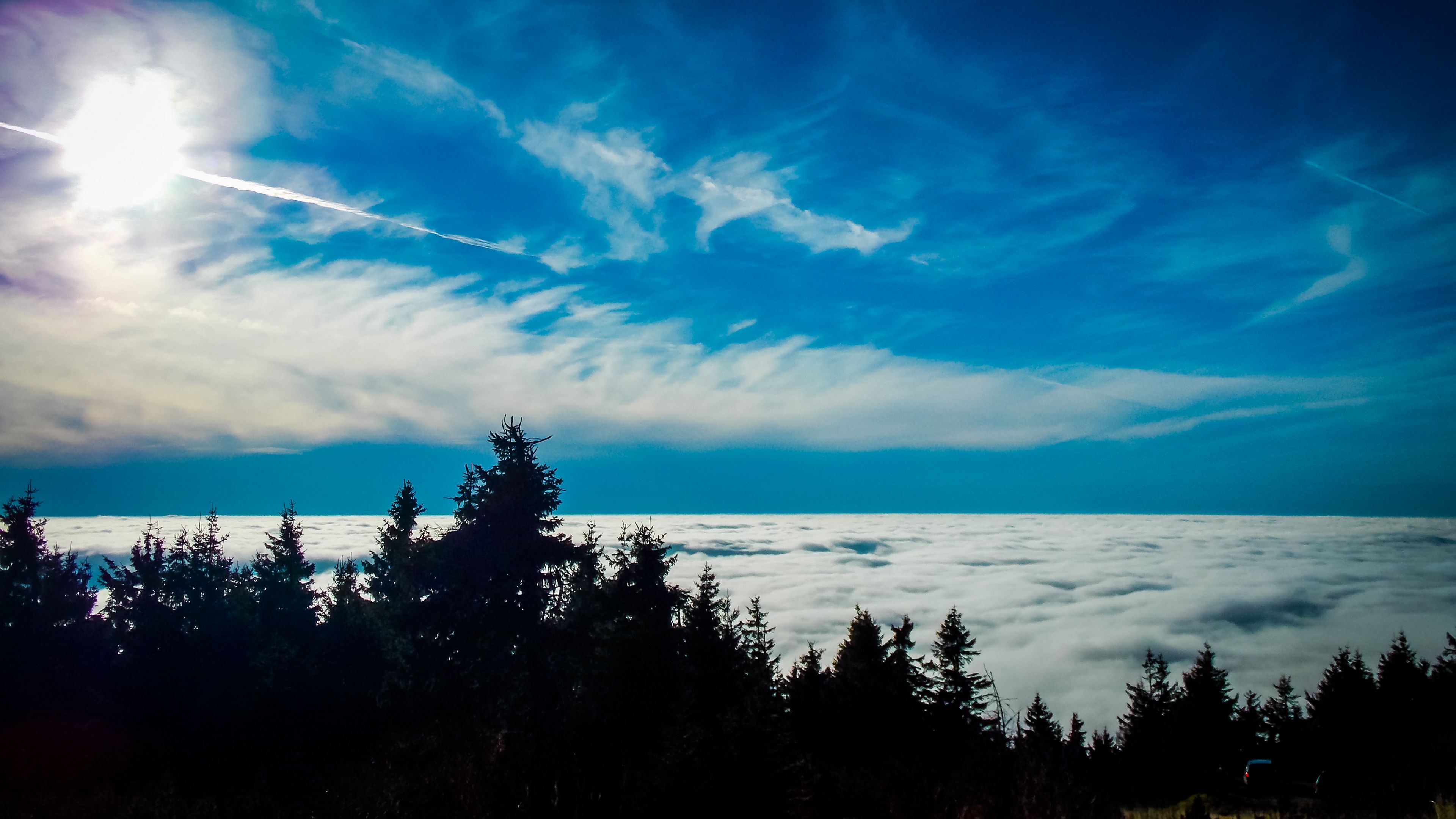 trees, sky, clouds, 4k, HD Wallpaper