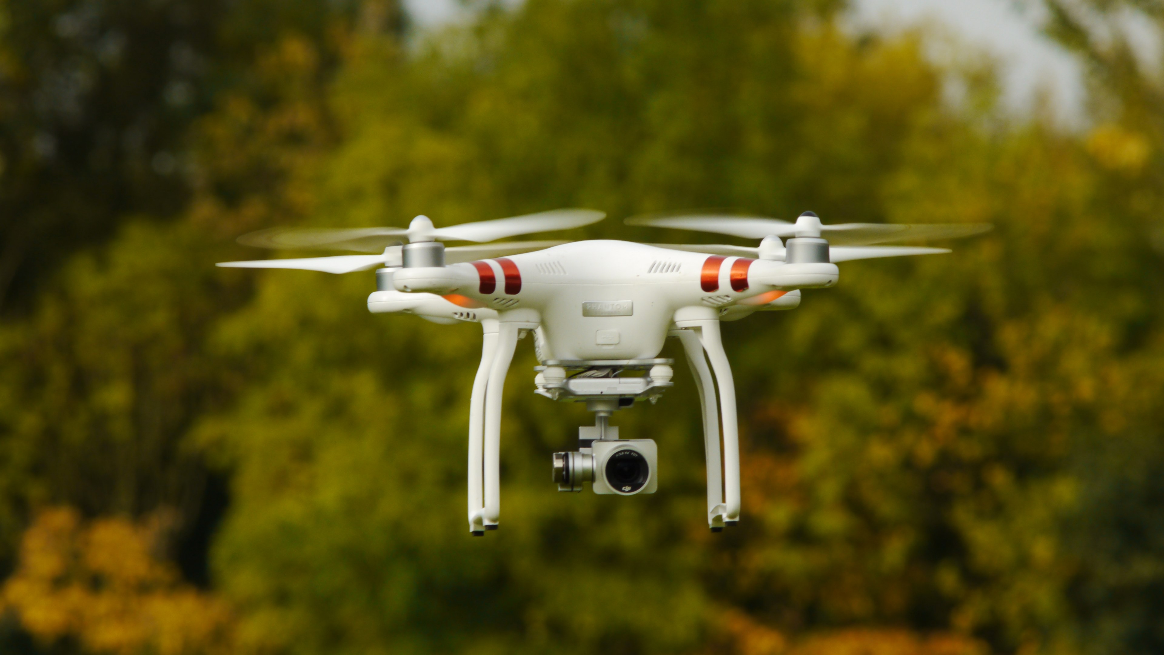 aerial flight forest and phantom 4k, HD Wallpaper