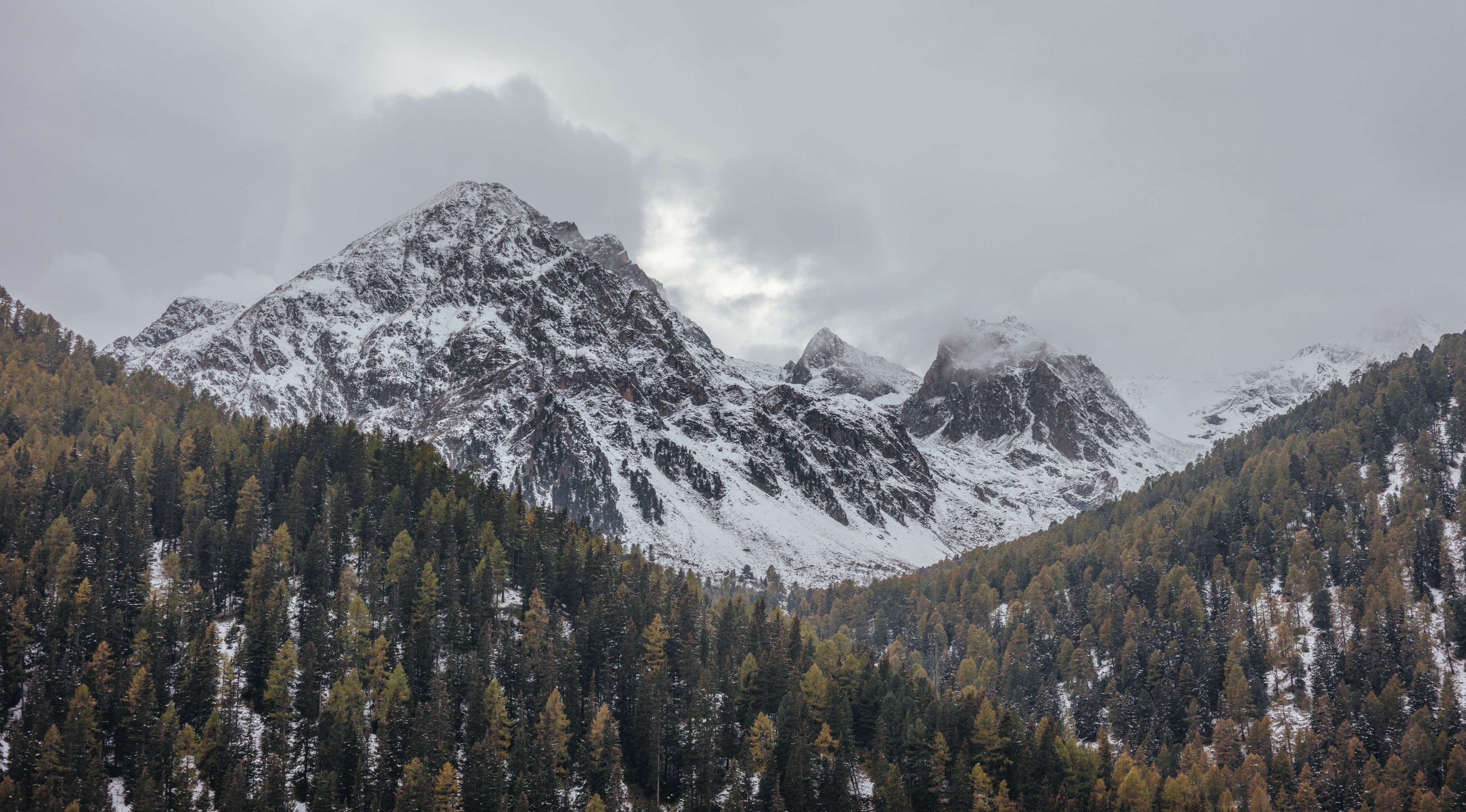 an alpine landscape with rugged snowy peaks towering over evergreen woods, white mountains near evergreen woods 4k, HD Wallpaper