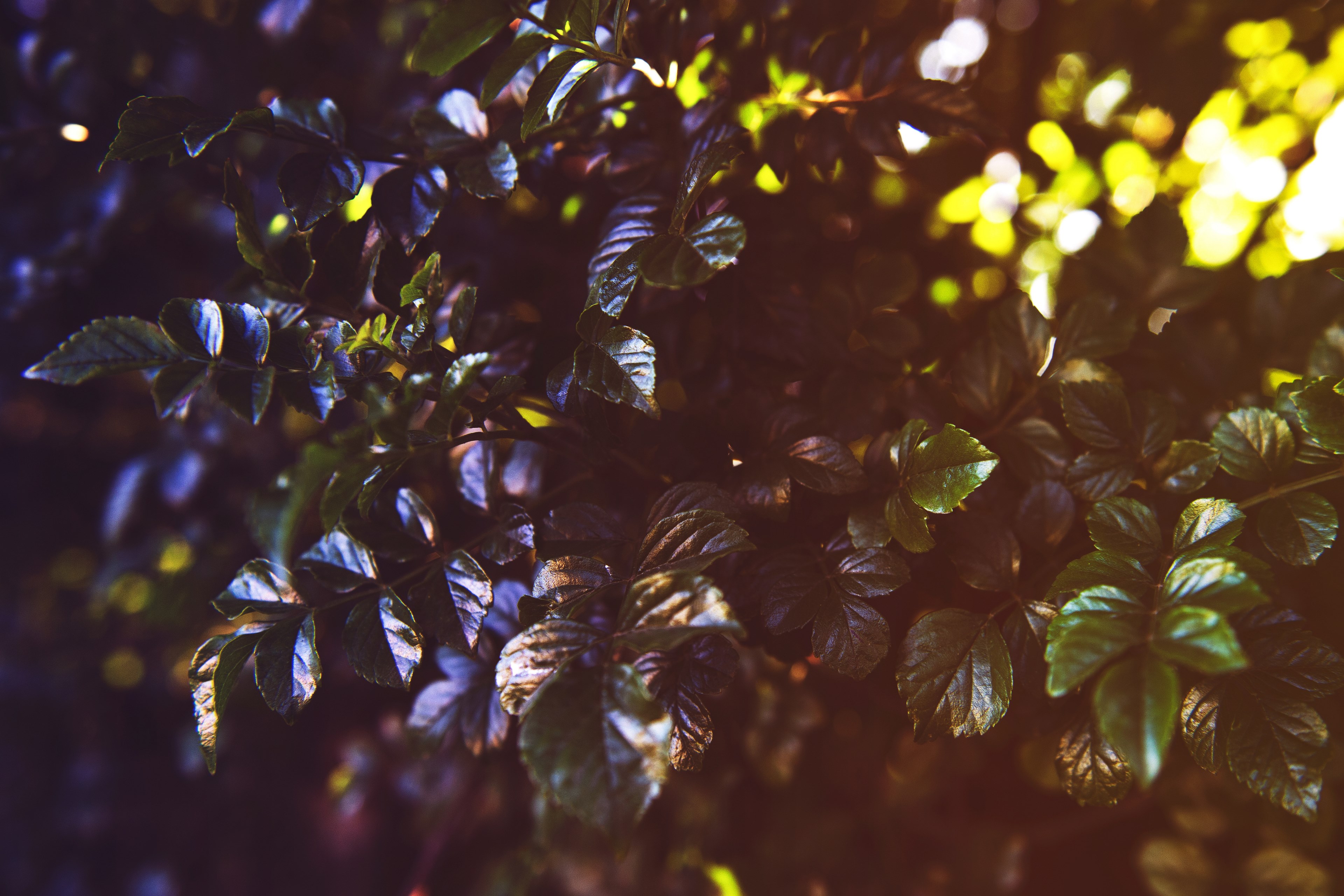 leaving 4k, HD Wallpaper