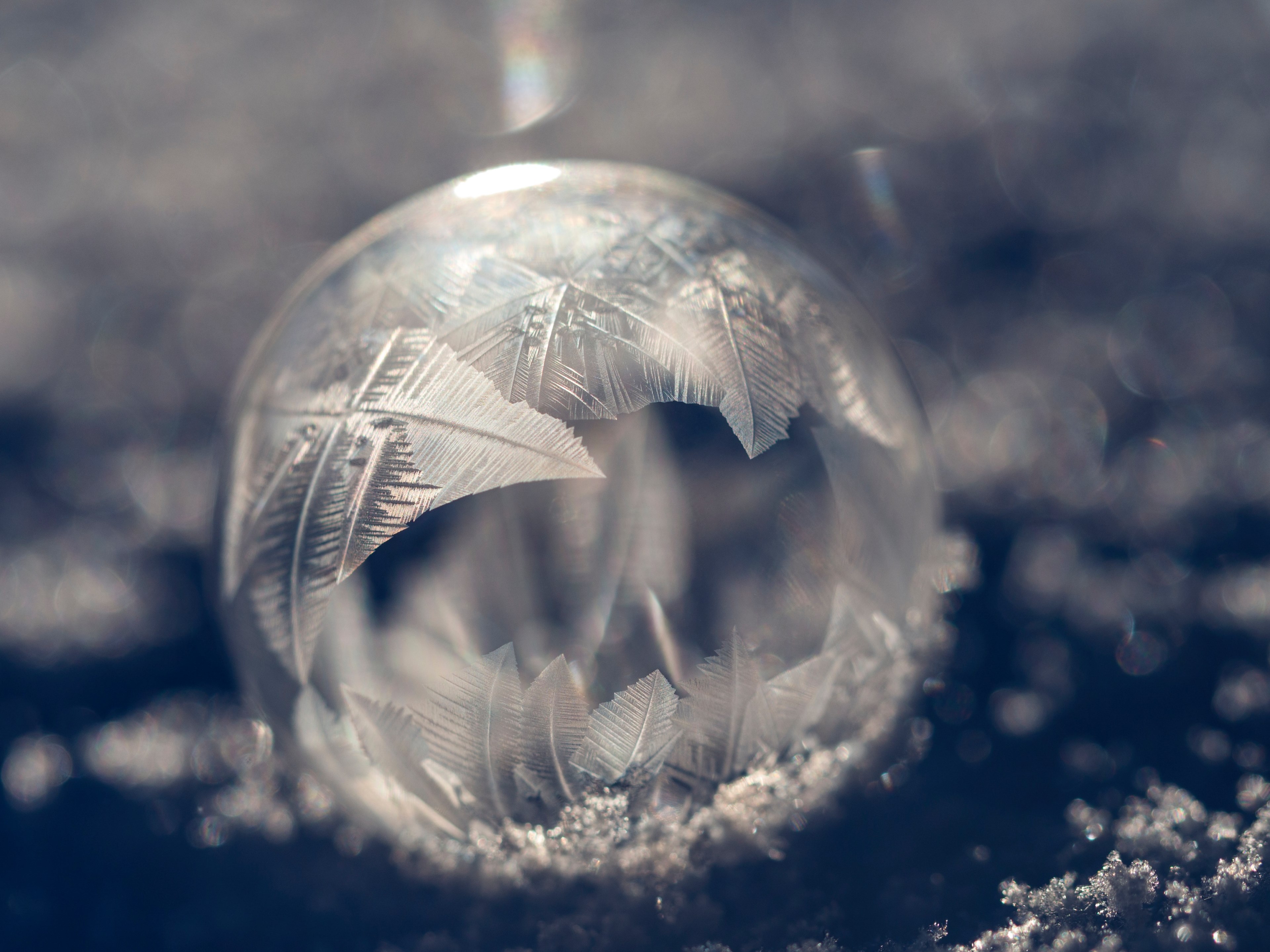 ice bubble frozen and frost 4k, HD Wallpaper
