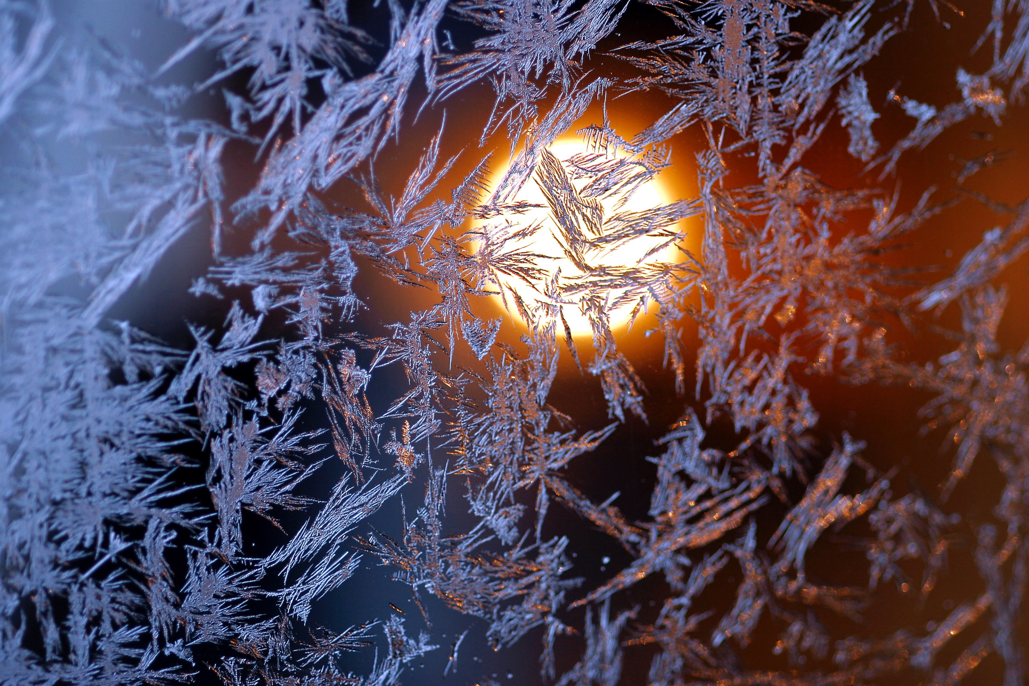night christma sun and light 4k, HD Wallpaper