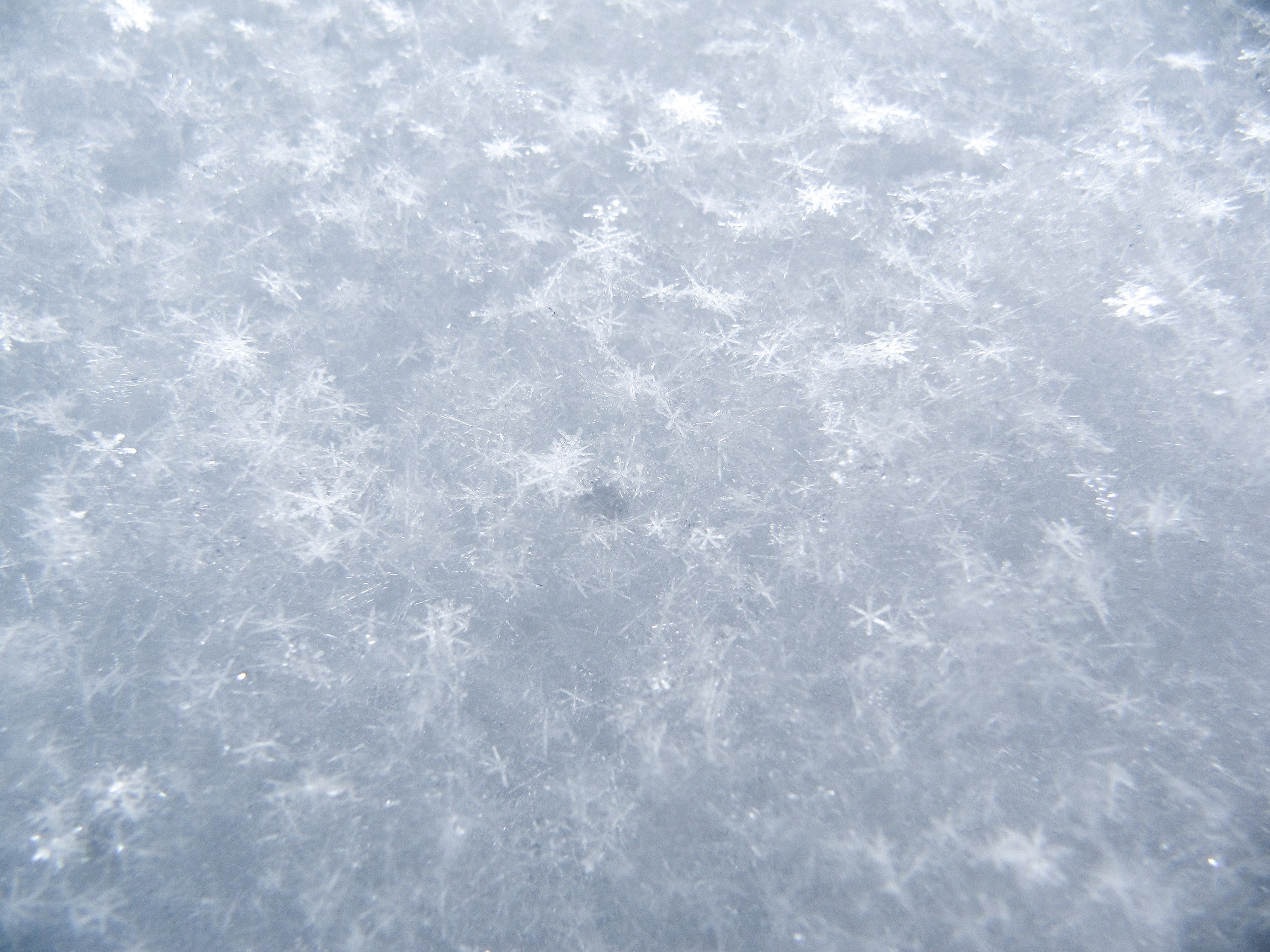pattern macro frozen and ice 4k, HD Wallpaper