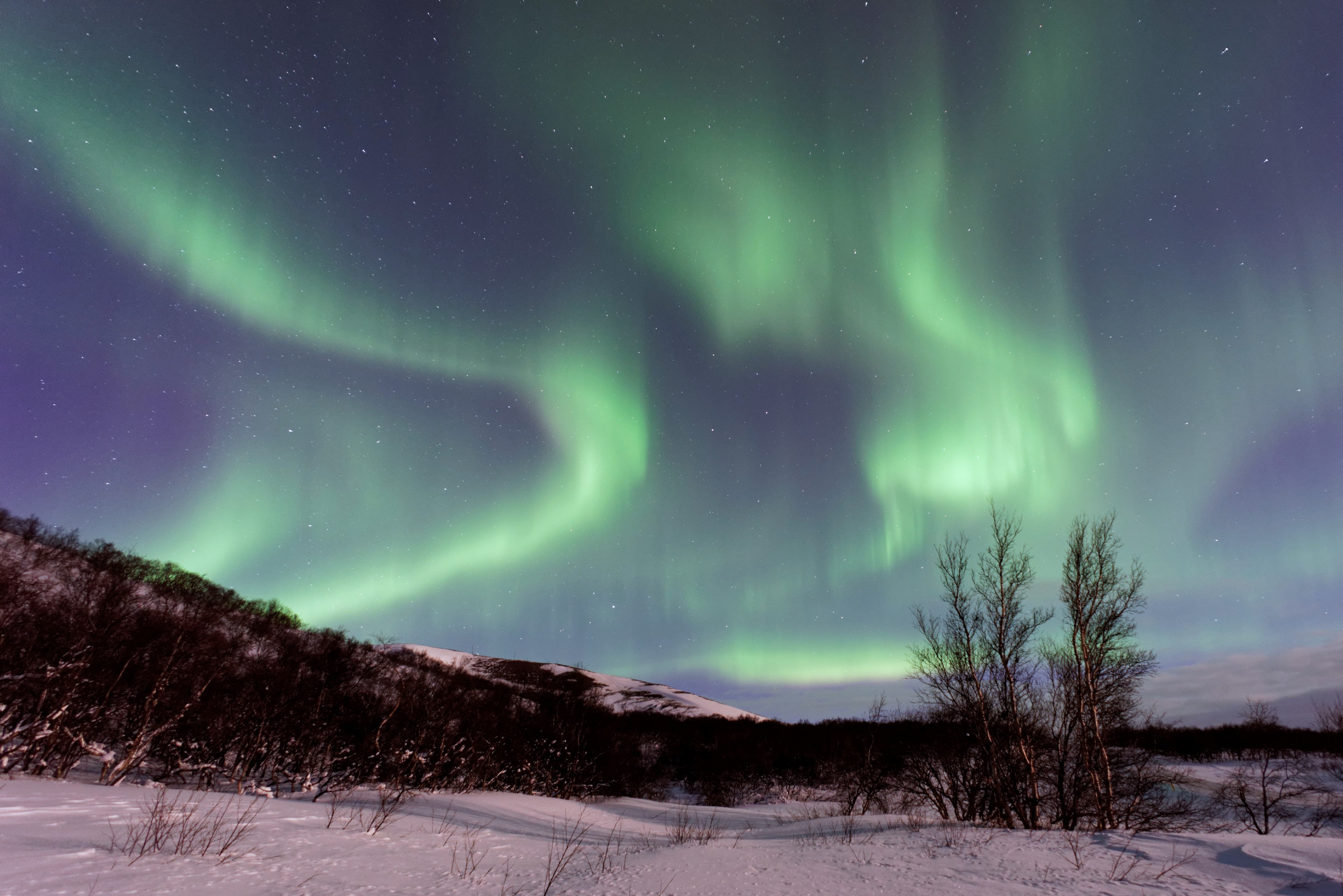 northern lights above the mountaintops viewed from the ground in iceland, northern lights above iceland 4k, HD Wallpaper