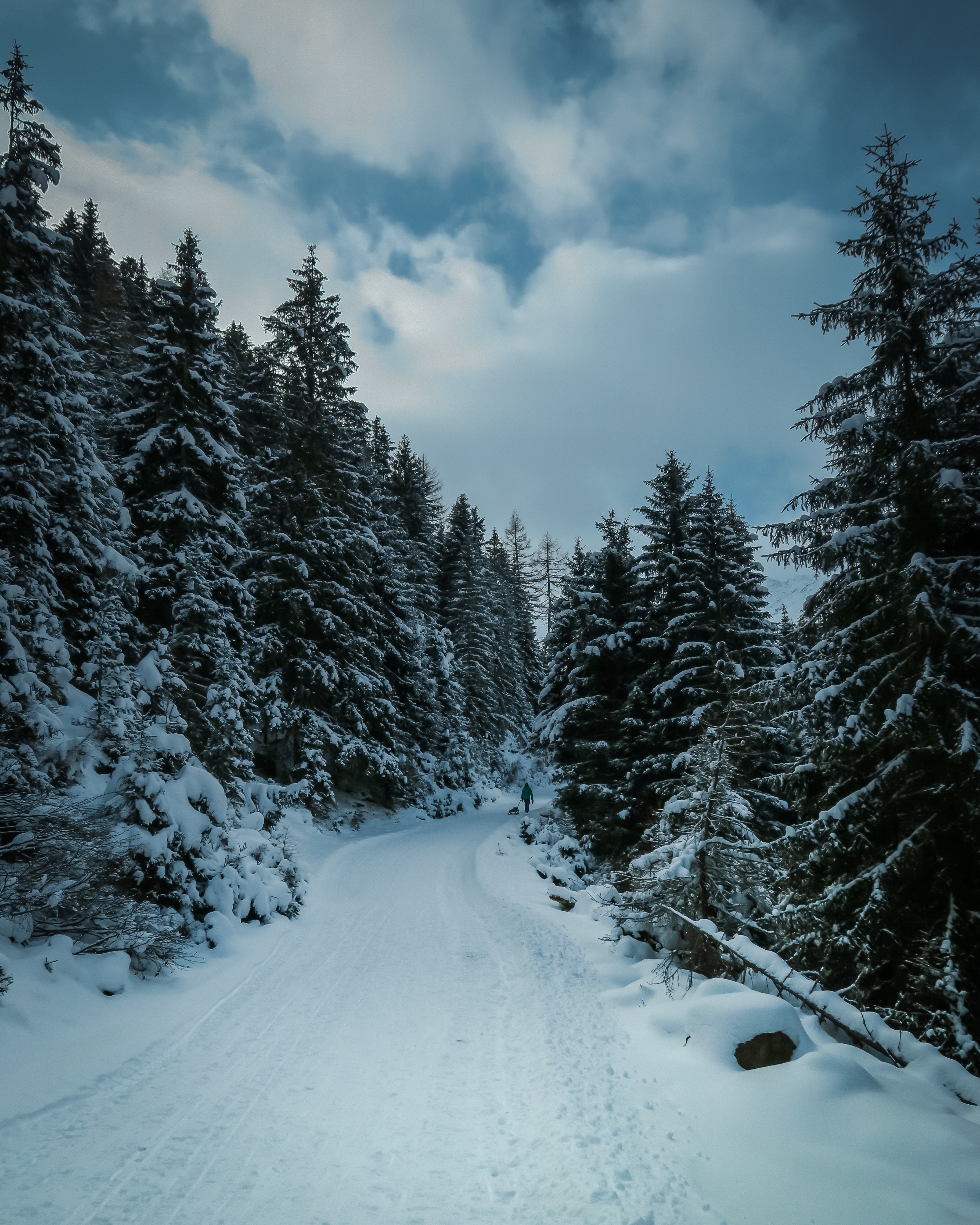 a distant shot of a person walking on a snowy trail through a forest, i will follow you 4k, Phone HD Wallpaper