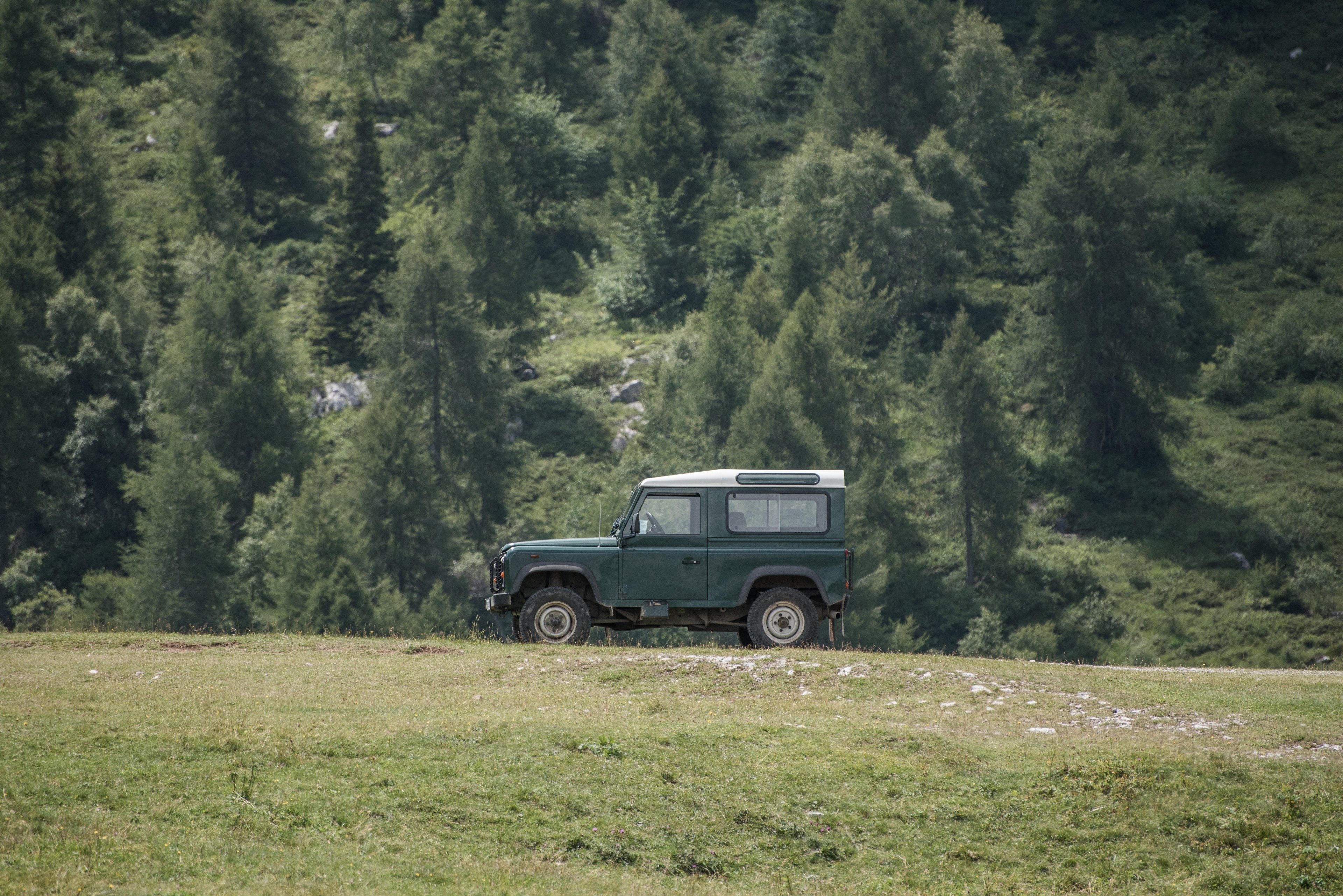 a green land roverjeep with four wheel drive in the forest, forest four wheel drive 4k, HD Wallpaper