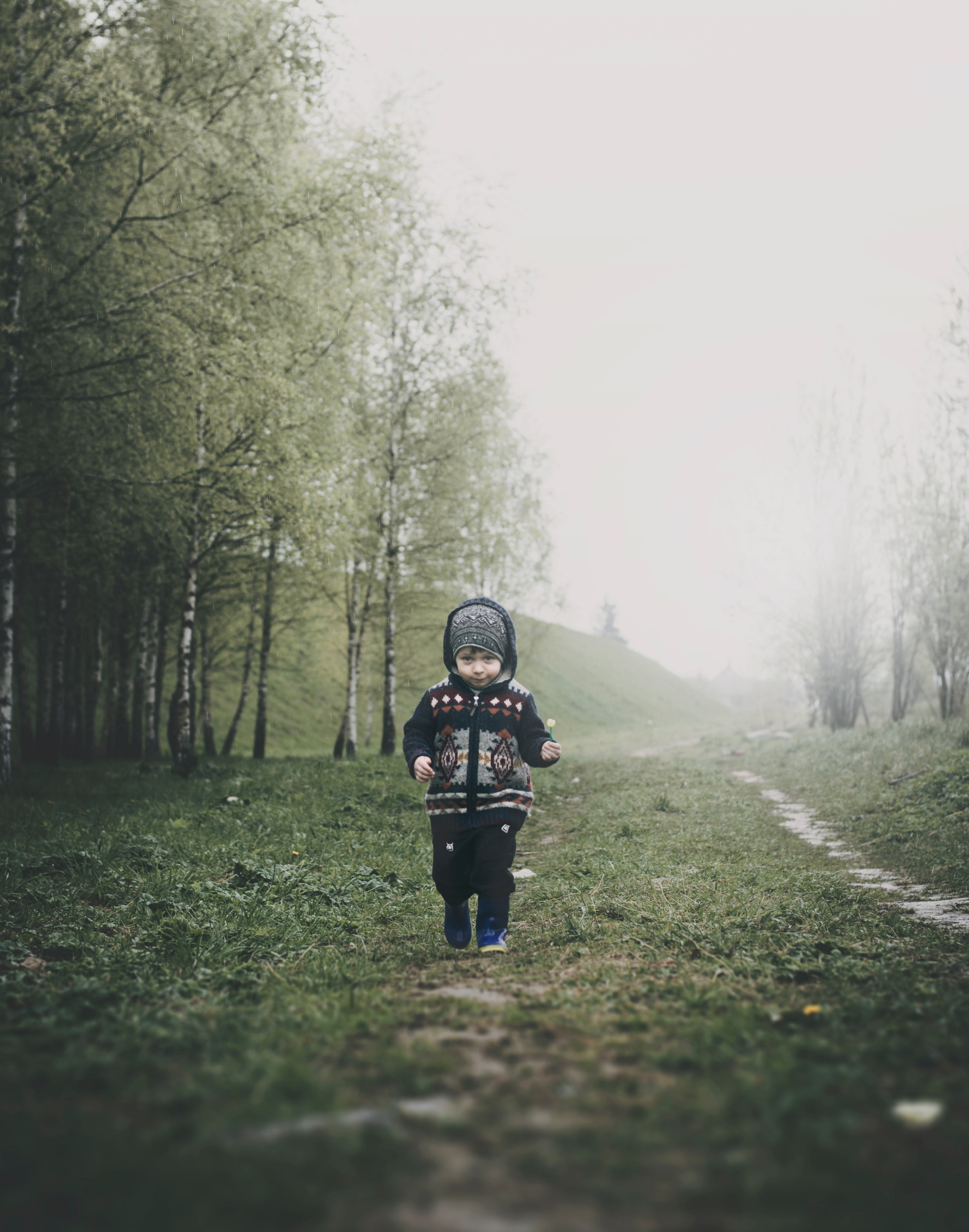 a little boy walks through the grass on a chilly overcast day, _nature calling 4k, Phone HD Wallpaper