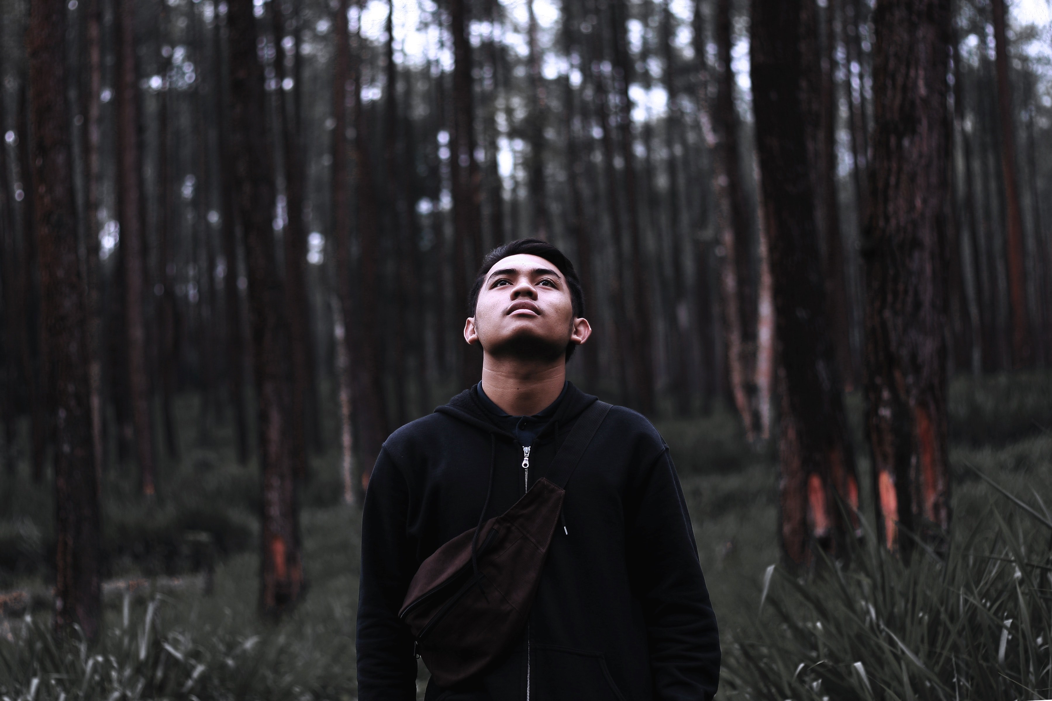 a young man standing in tall grass in a forest and looking up, man looking at the treetops 4k, HD Wallpaper