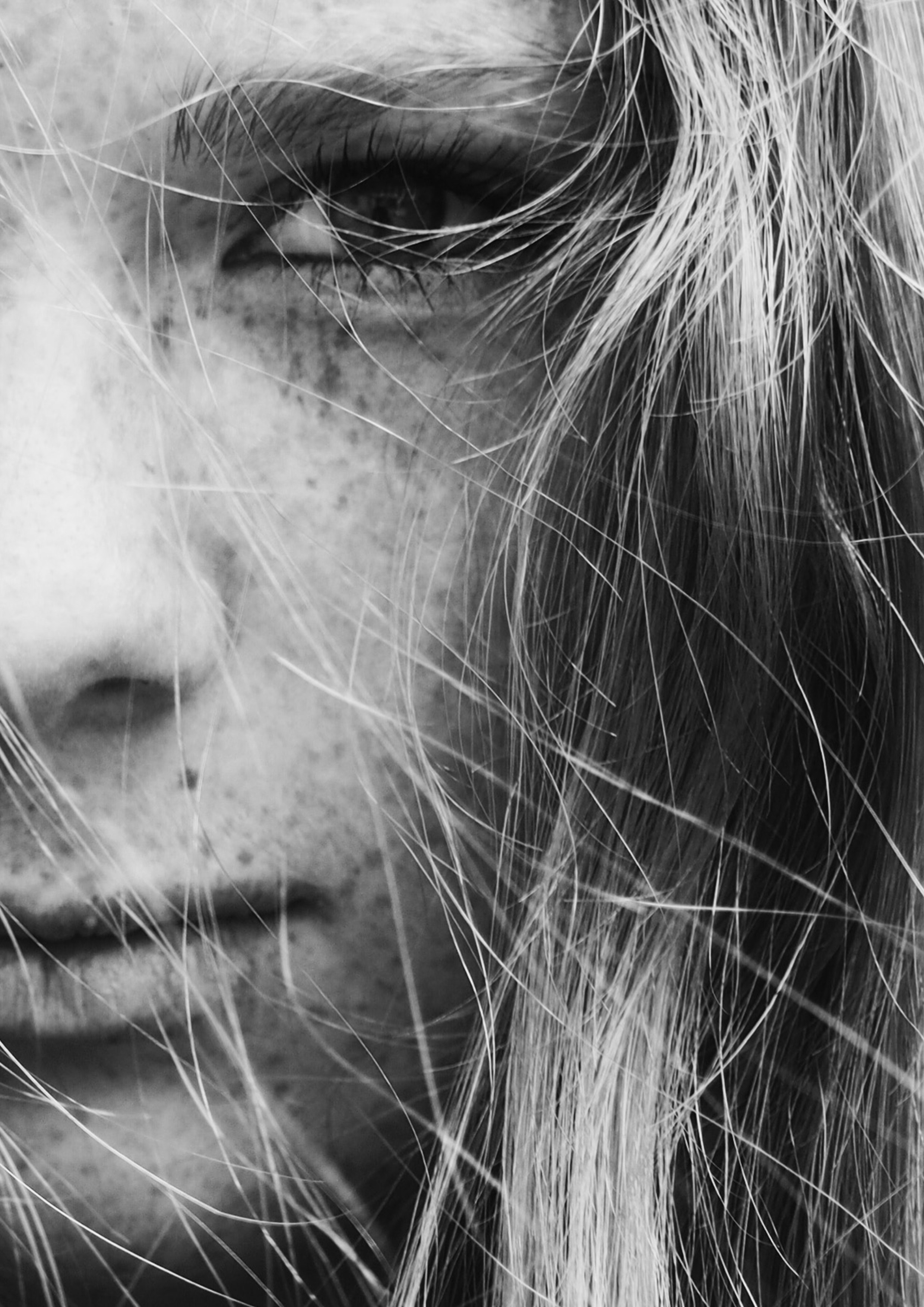 black and white close up shot of young female face with freckles in amsterdam, freckles on dutch girl face 4k, Phone HD Wallpaper