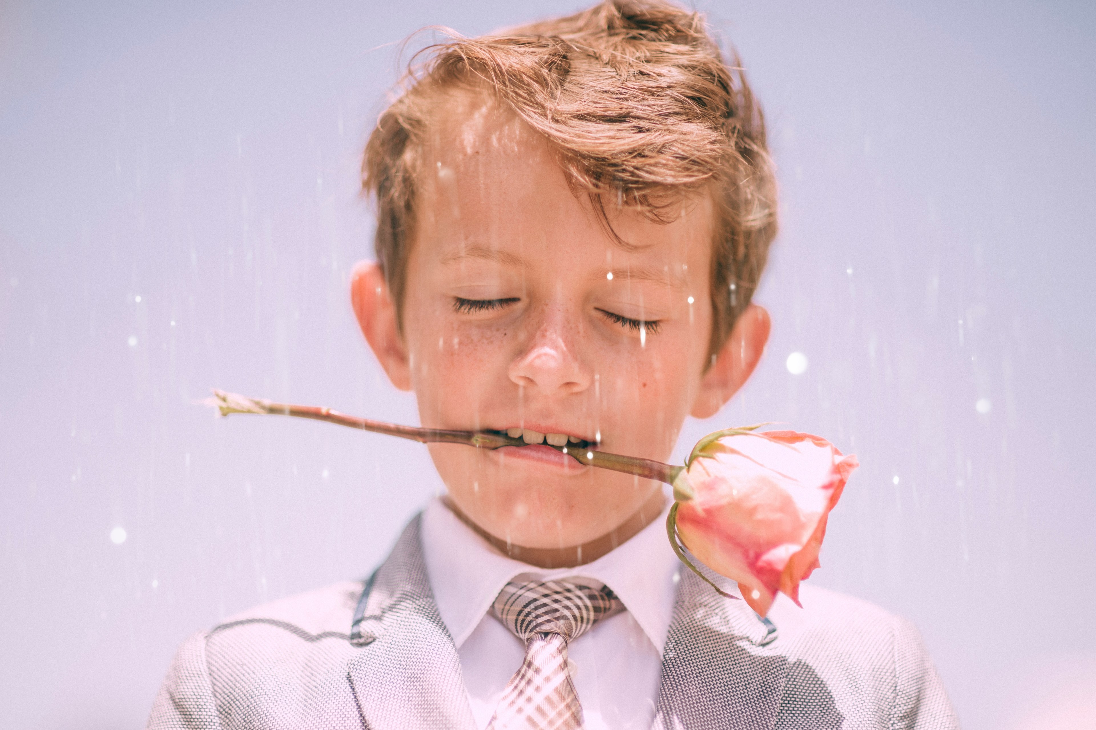 a little boy in a formal suit holding a pink rose between his teeth, first valentines day 4k, HD Wallpaper